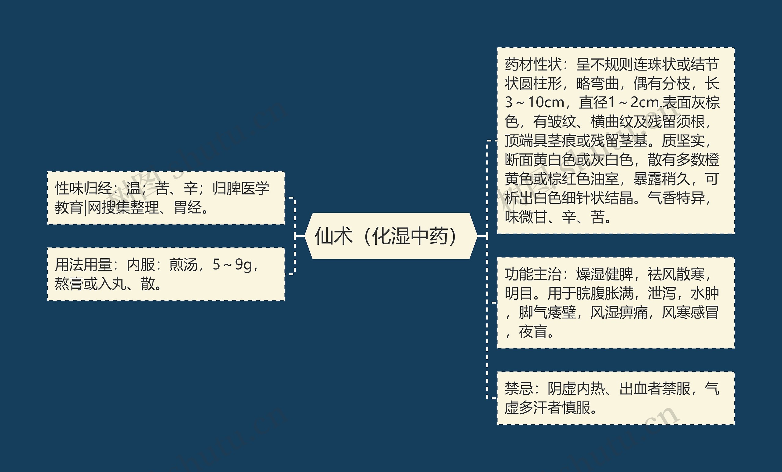 仙术（化湿中药）思维导图