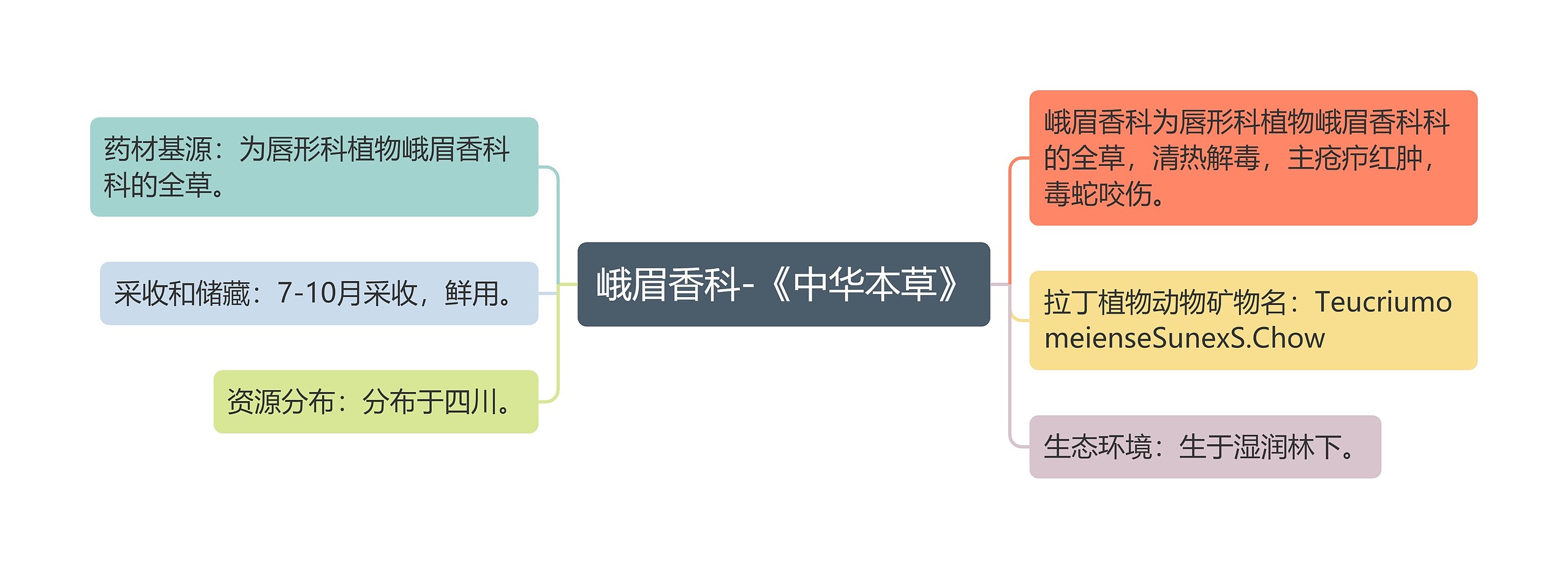 峨眉香科-《中华本草》