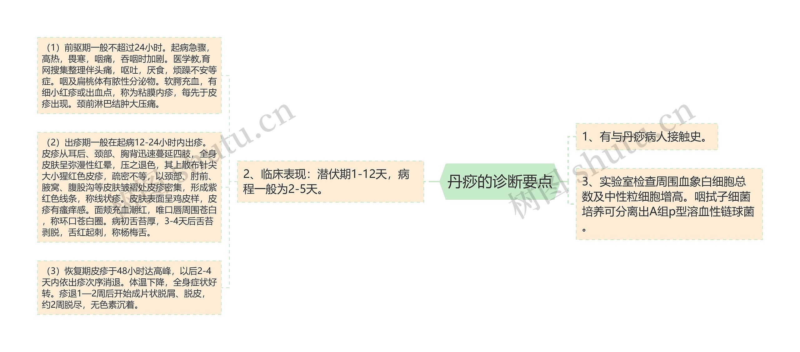 丹痧的诊断要点 丹痧的诊断要点