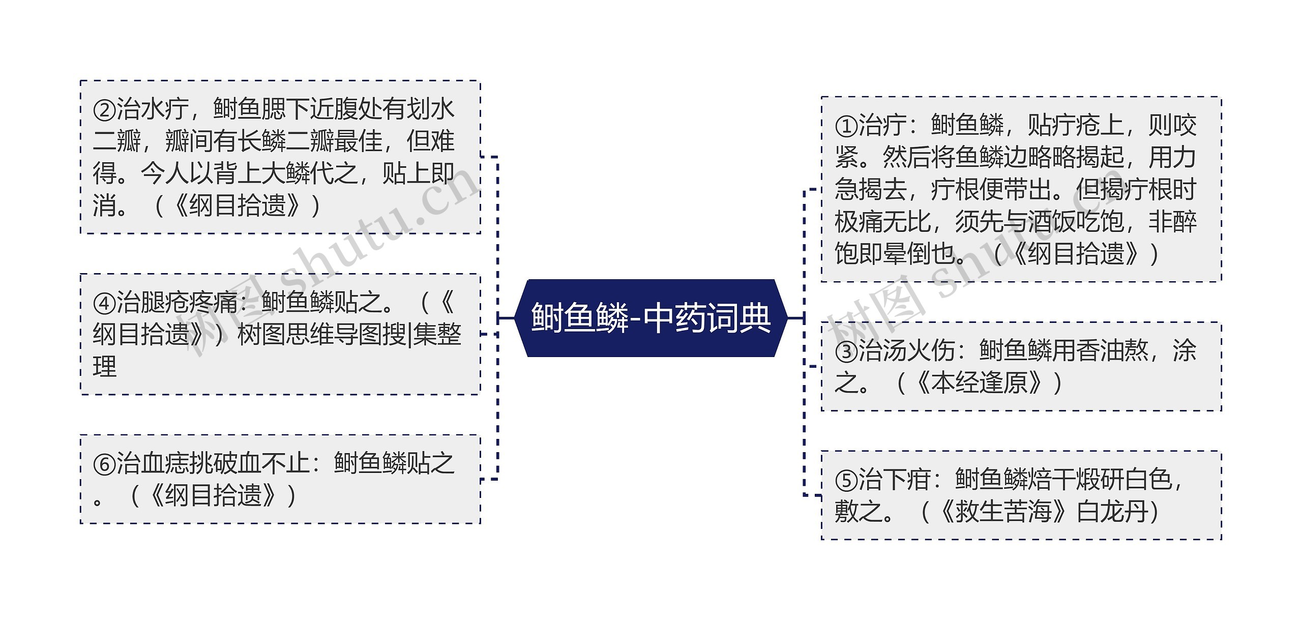 鲥鱼鳞-中药词典思维导图