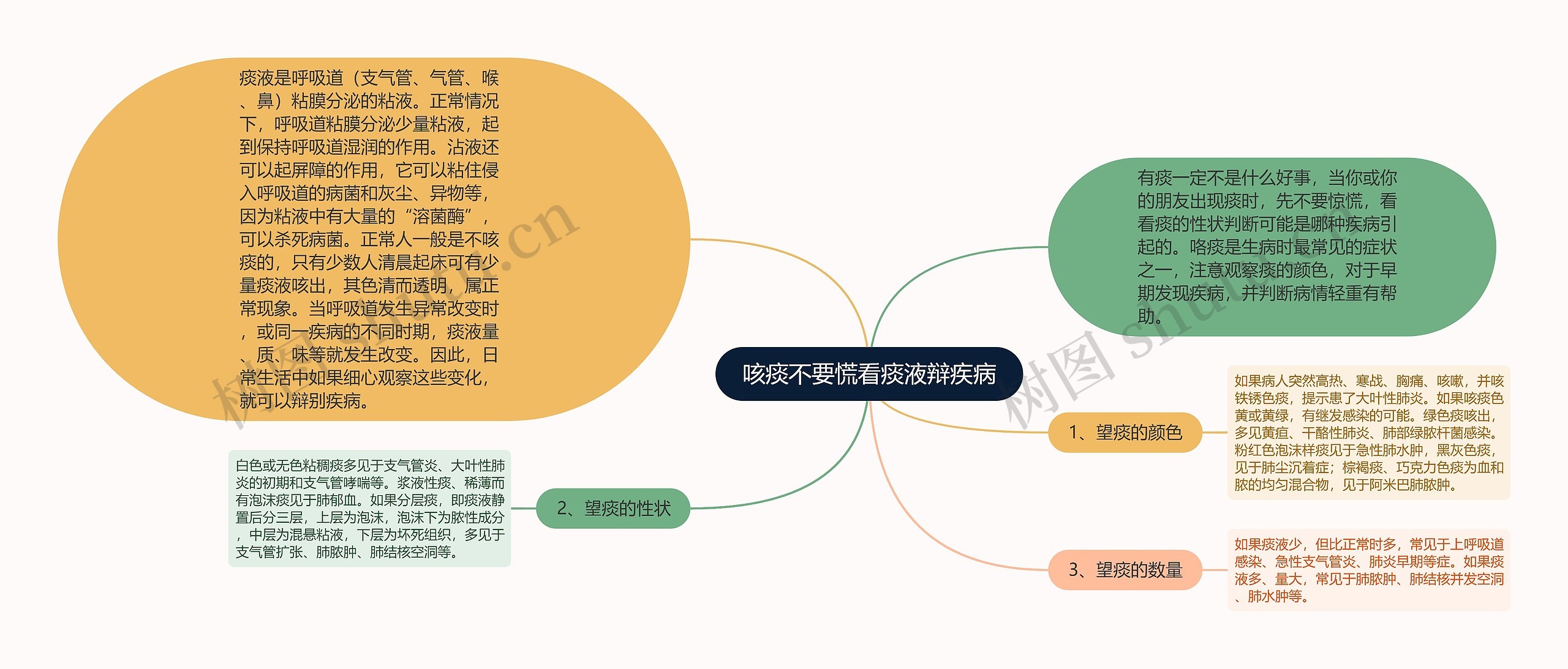 咳痰不要慌看痰液辩疾病思维导图