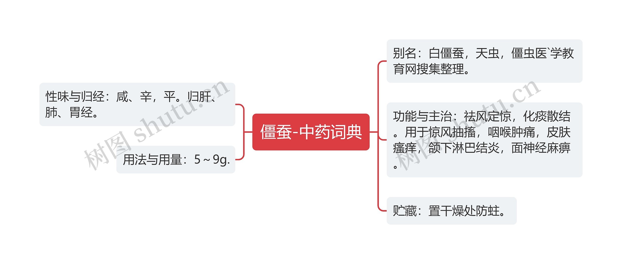 僵蚕-中药词典