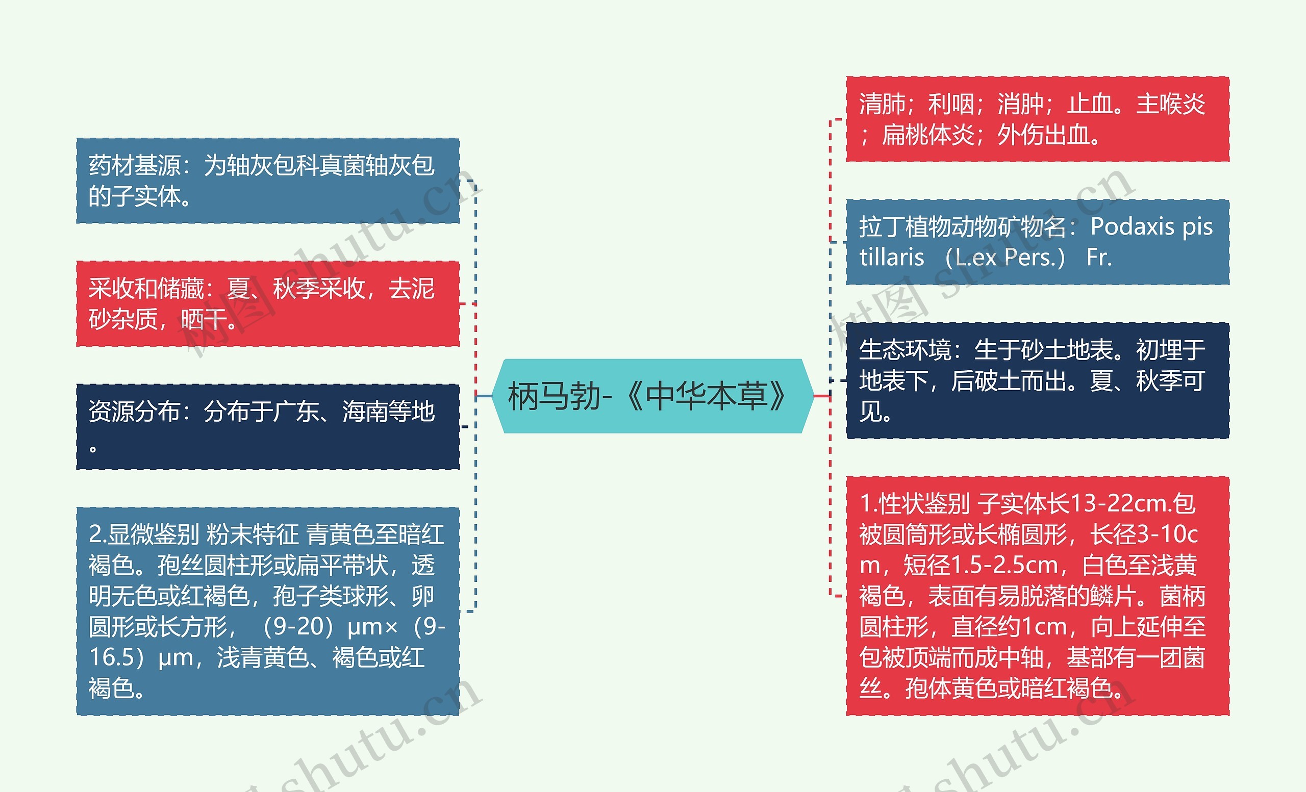 柄马勃-《中华本草》 柄马勃-《中华本草》