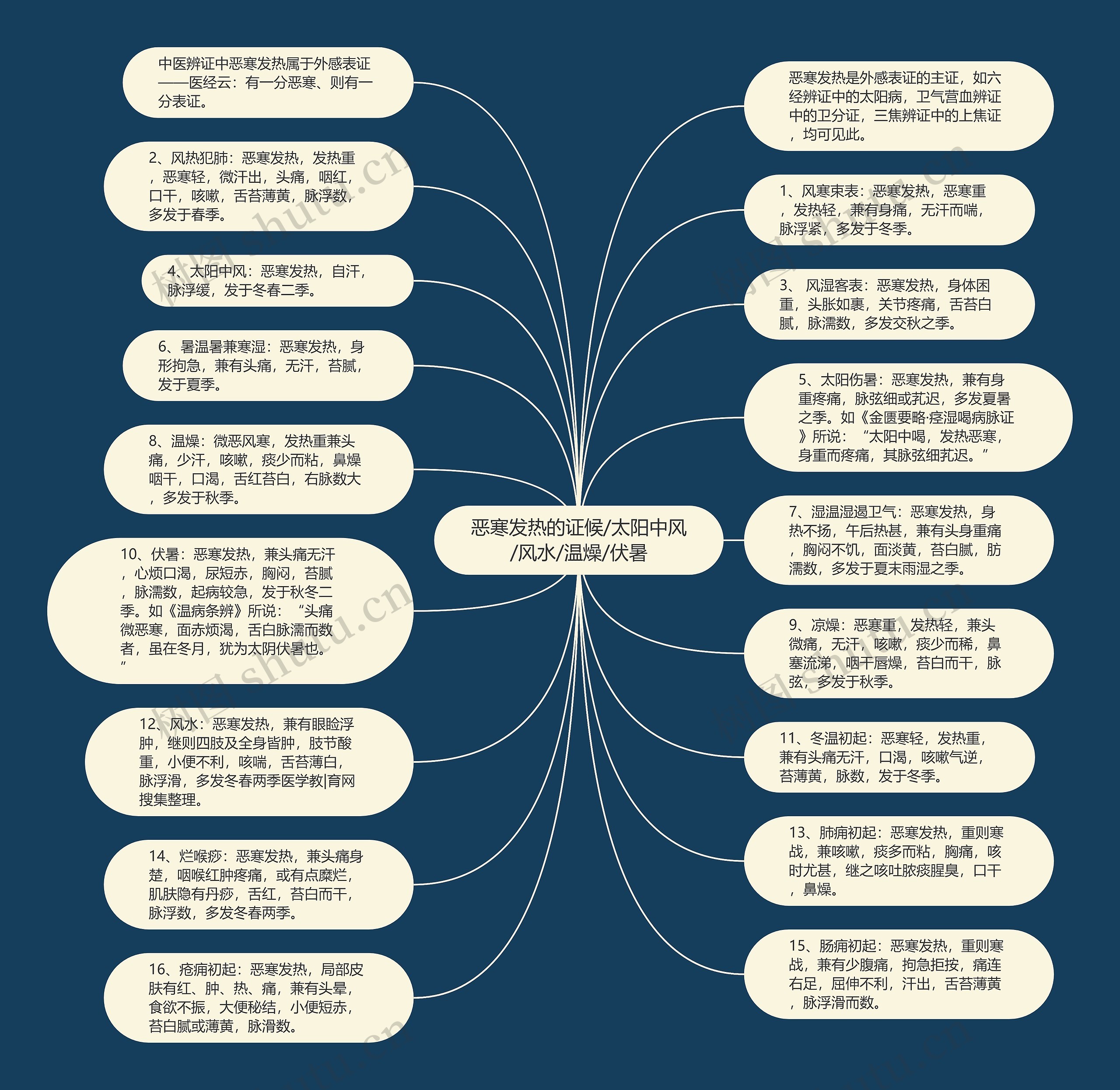 恶寒发热的证候/太阳中风/风水/温燥/伏暑思维导图