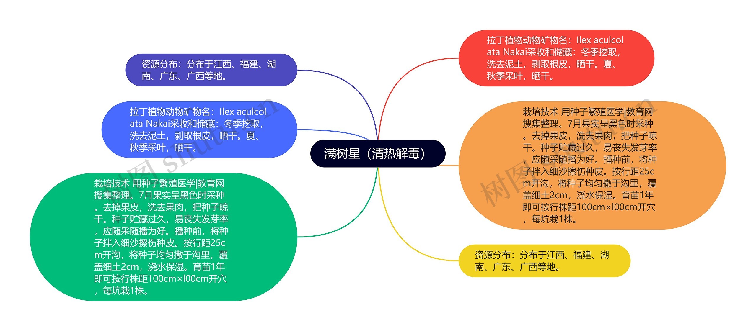 满树星（清热解毒）思维导图