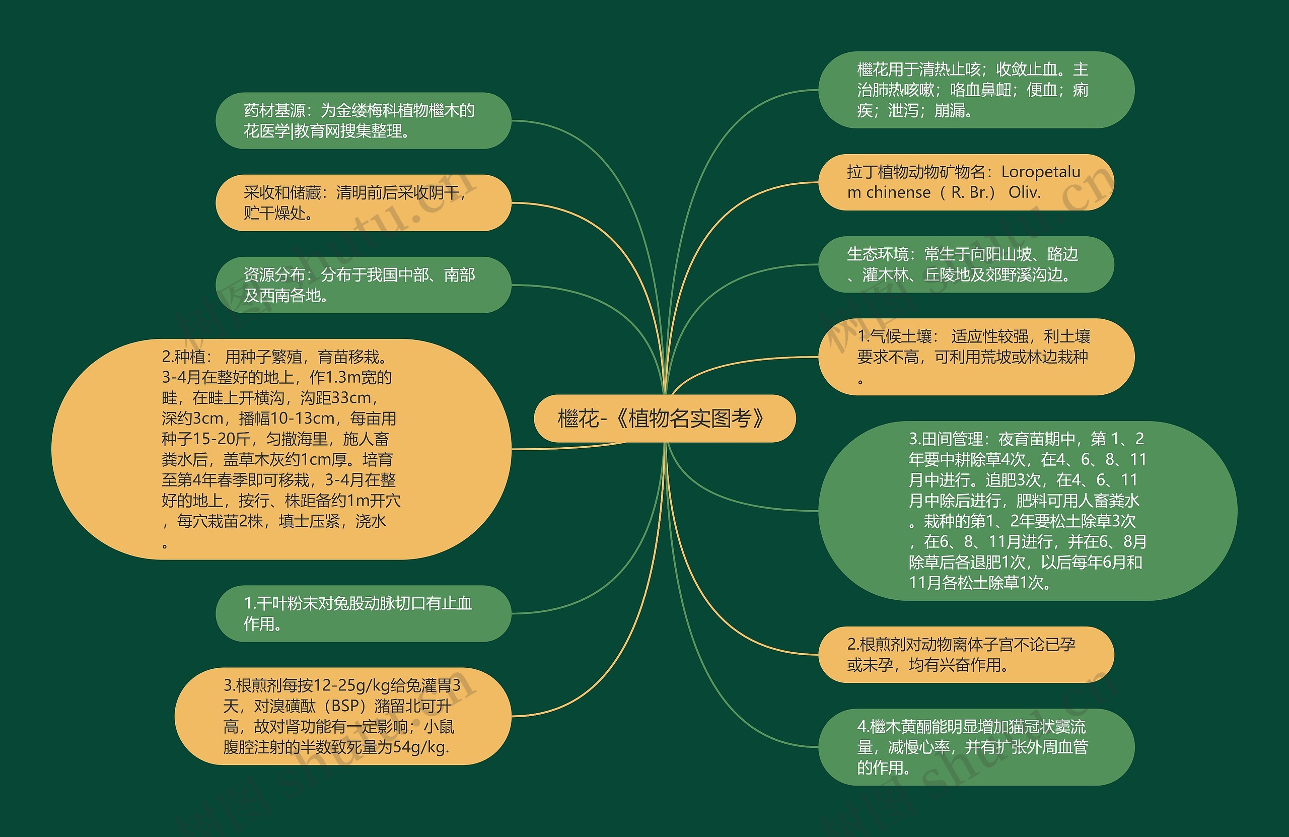 檵花-《植物名实图考》思维导图