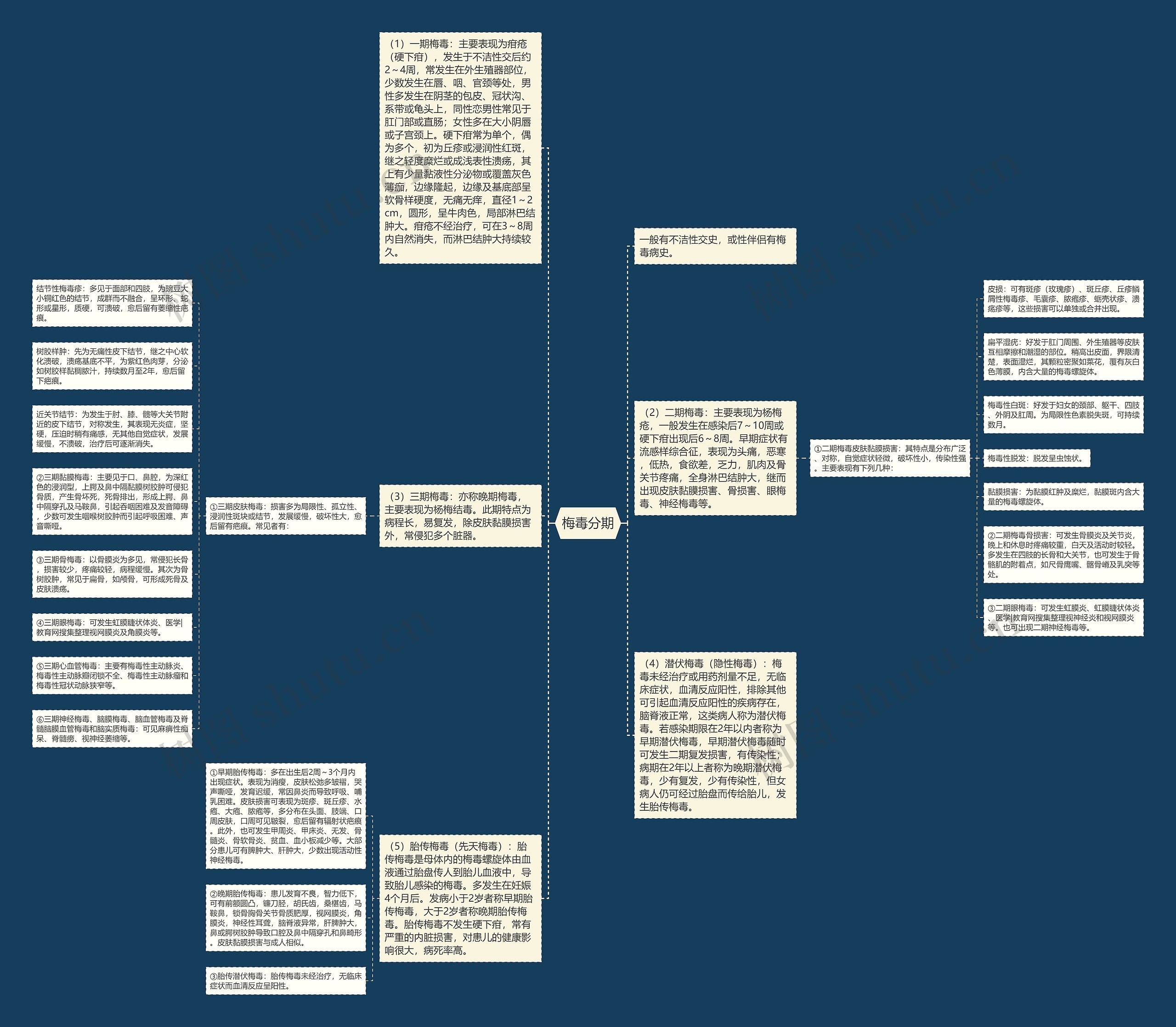 梅毒分期 梅毒分期