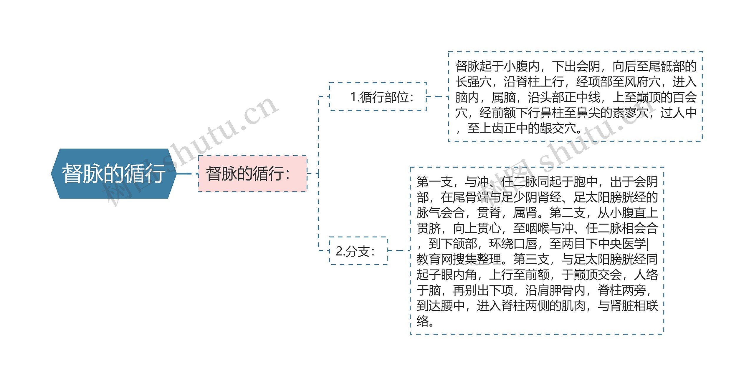 督脉的循行思维导图