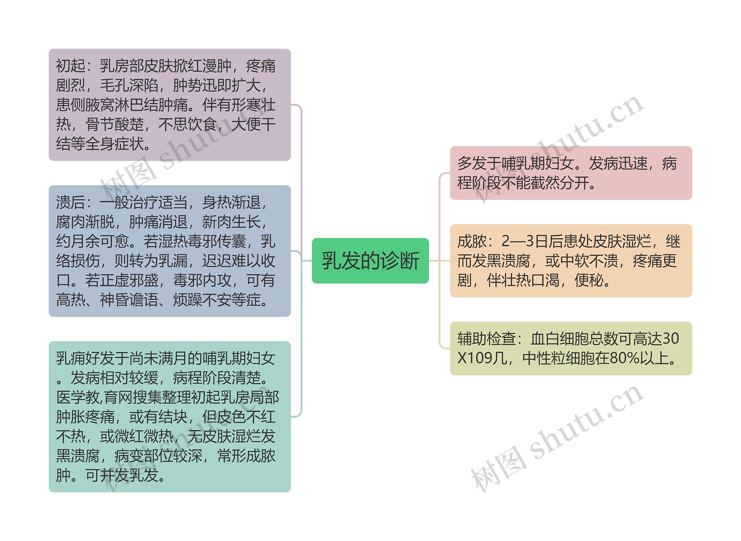 乳发的诊断思维导图