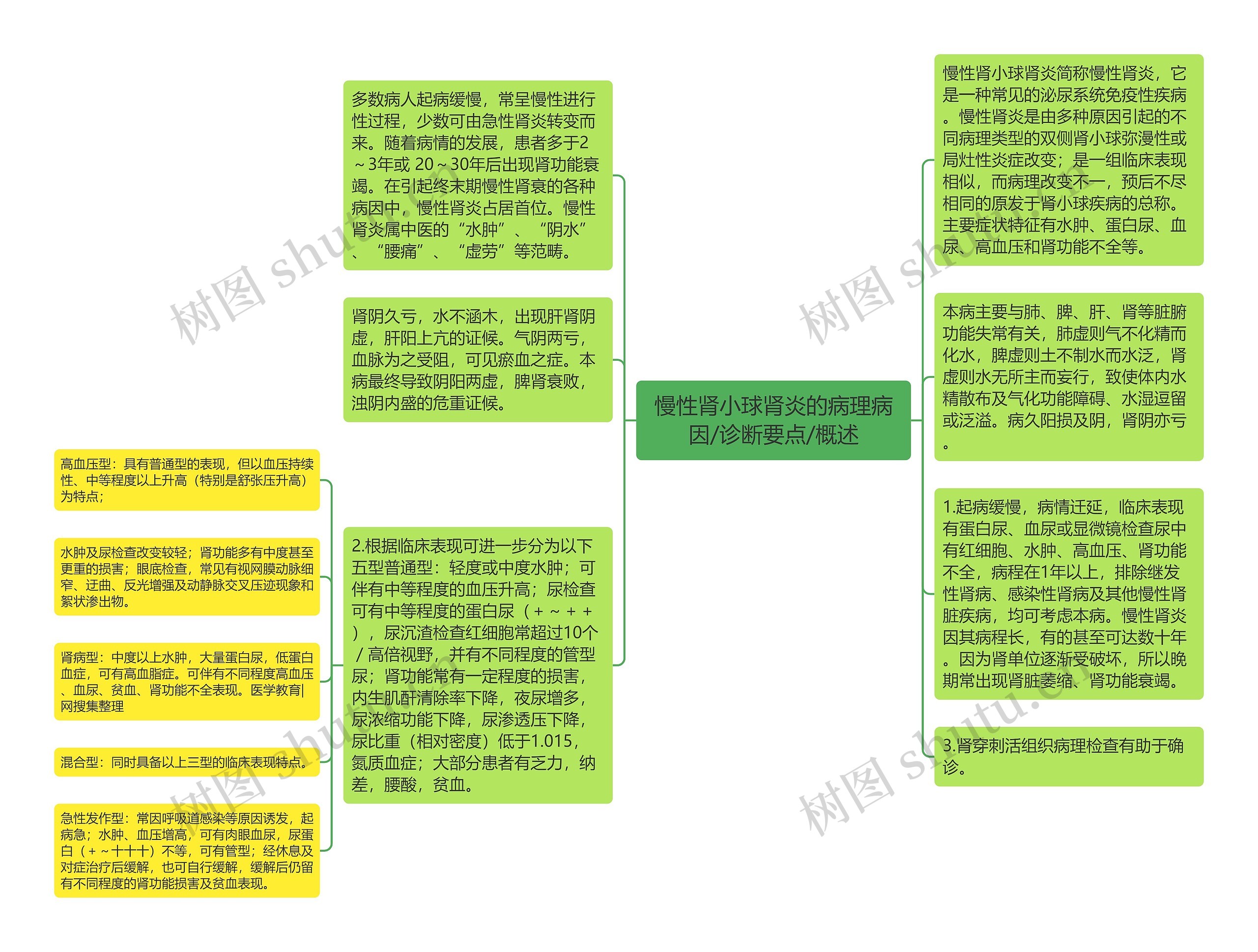 慢性肾小球肾炎的病理病因/诊断要点/概述思维导图