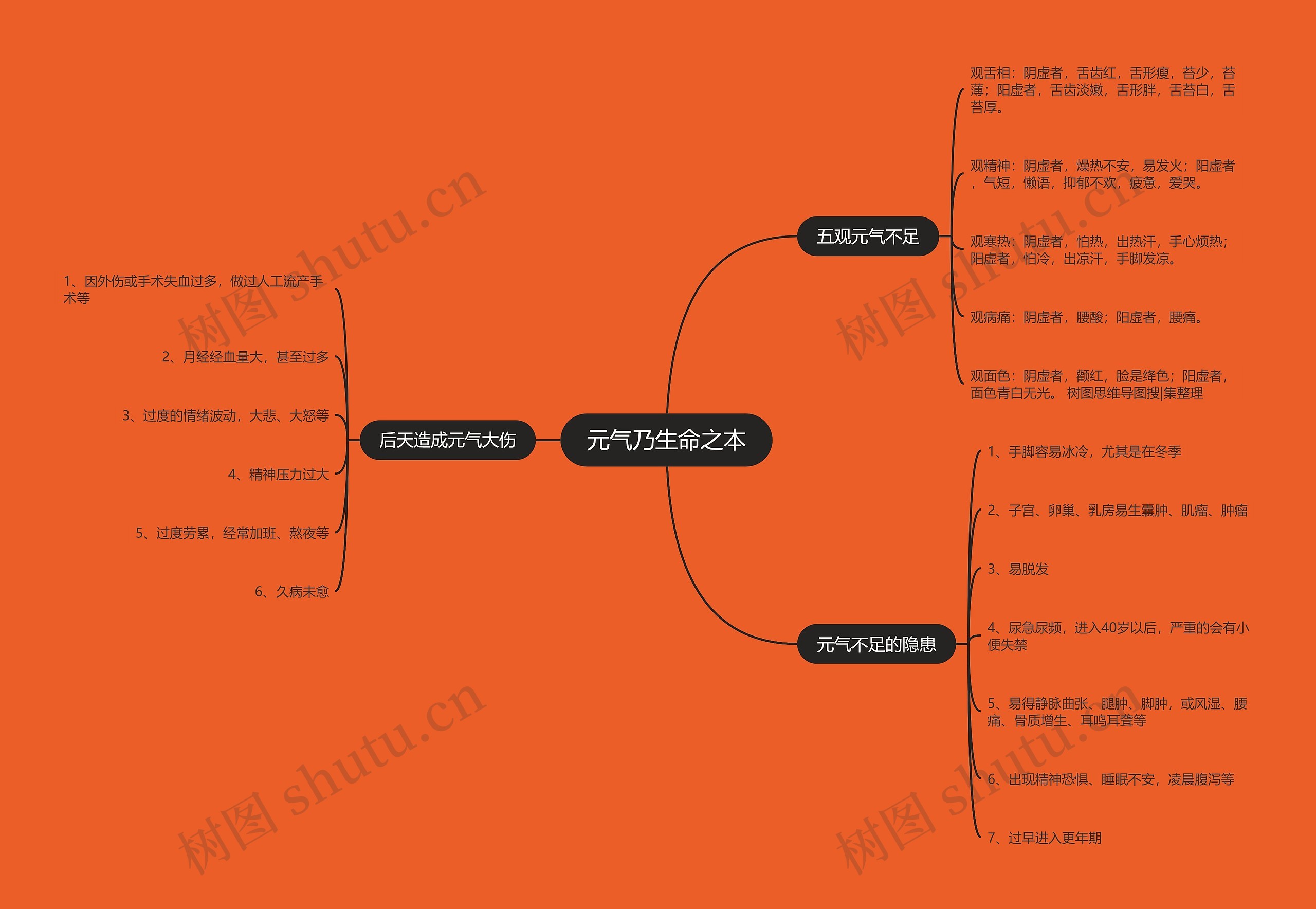 元气乃生命之本思维导图
