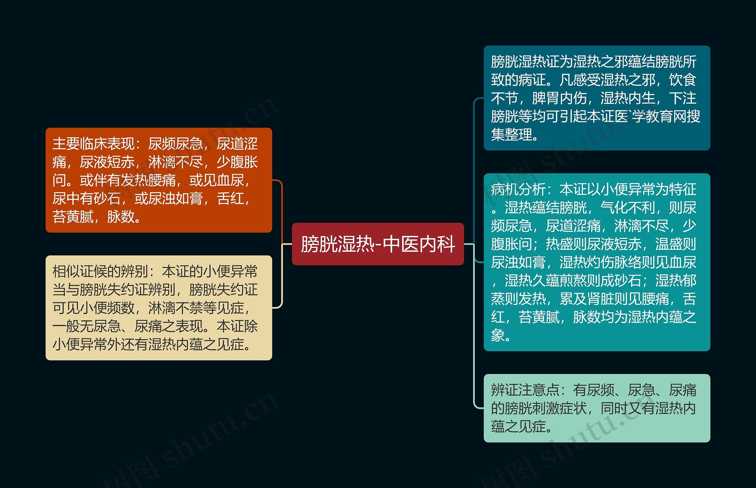 膀胱湿热-中医内科思维导图