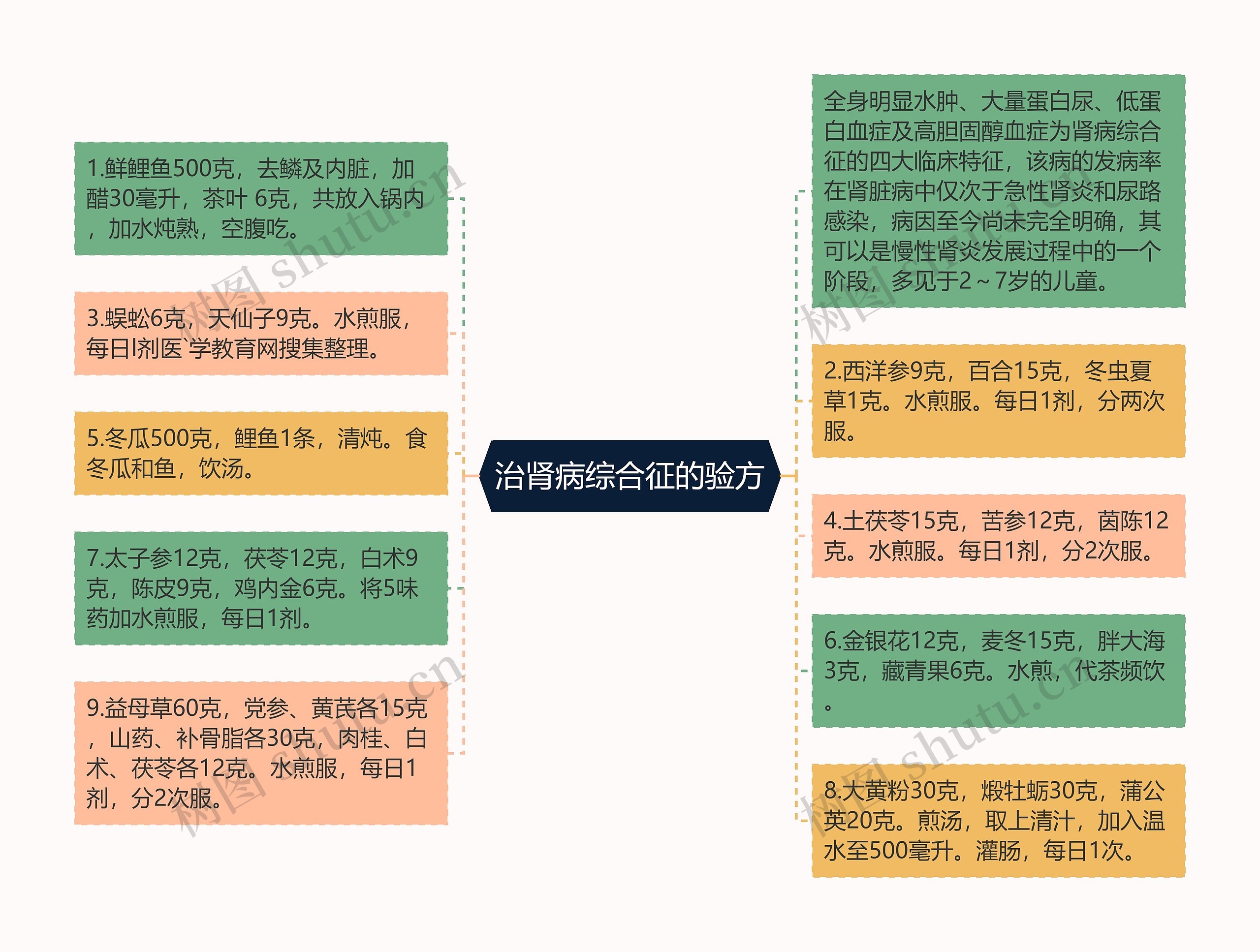 治肾病综合征的验方思维导图