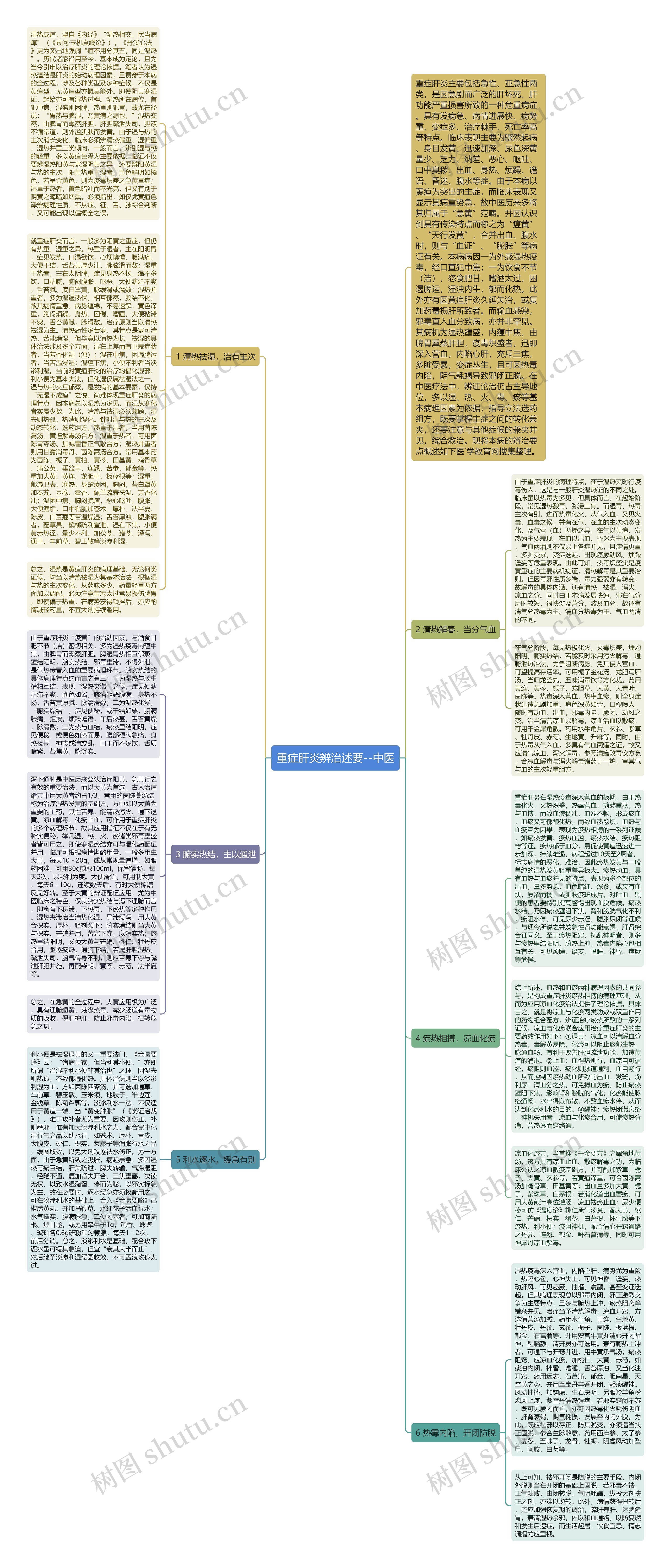 重症肝炎辨治述要--中医思维导图
