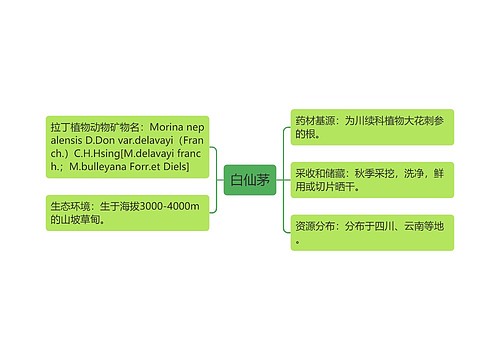 白仙茅