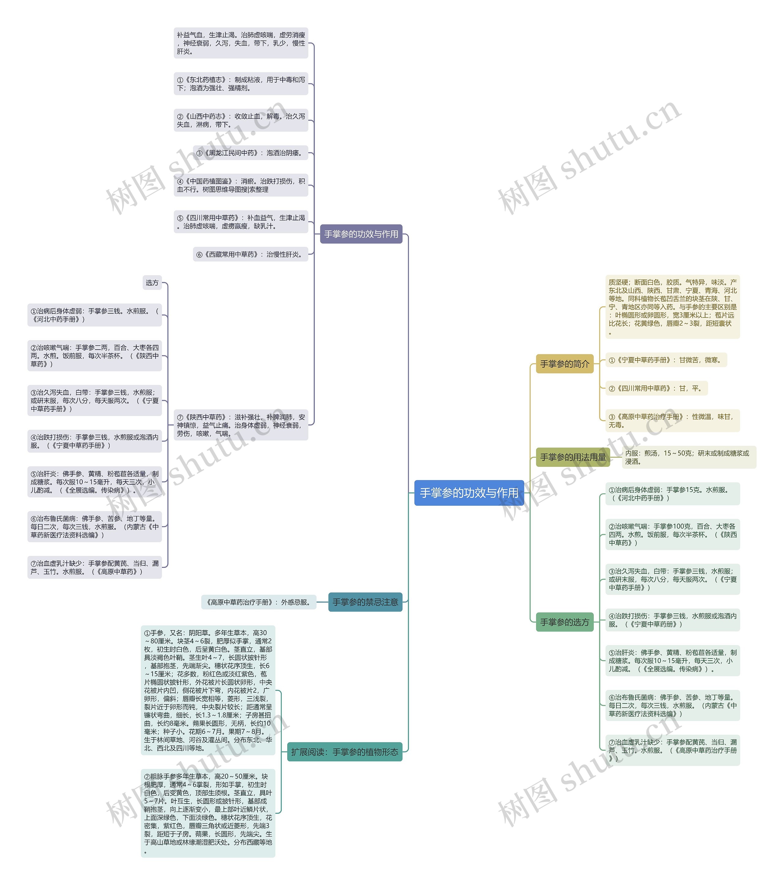 手掌参的功效与作用 手掌参的功效与作用