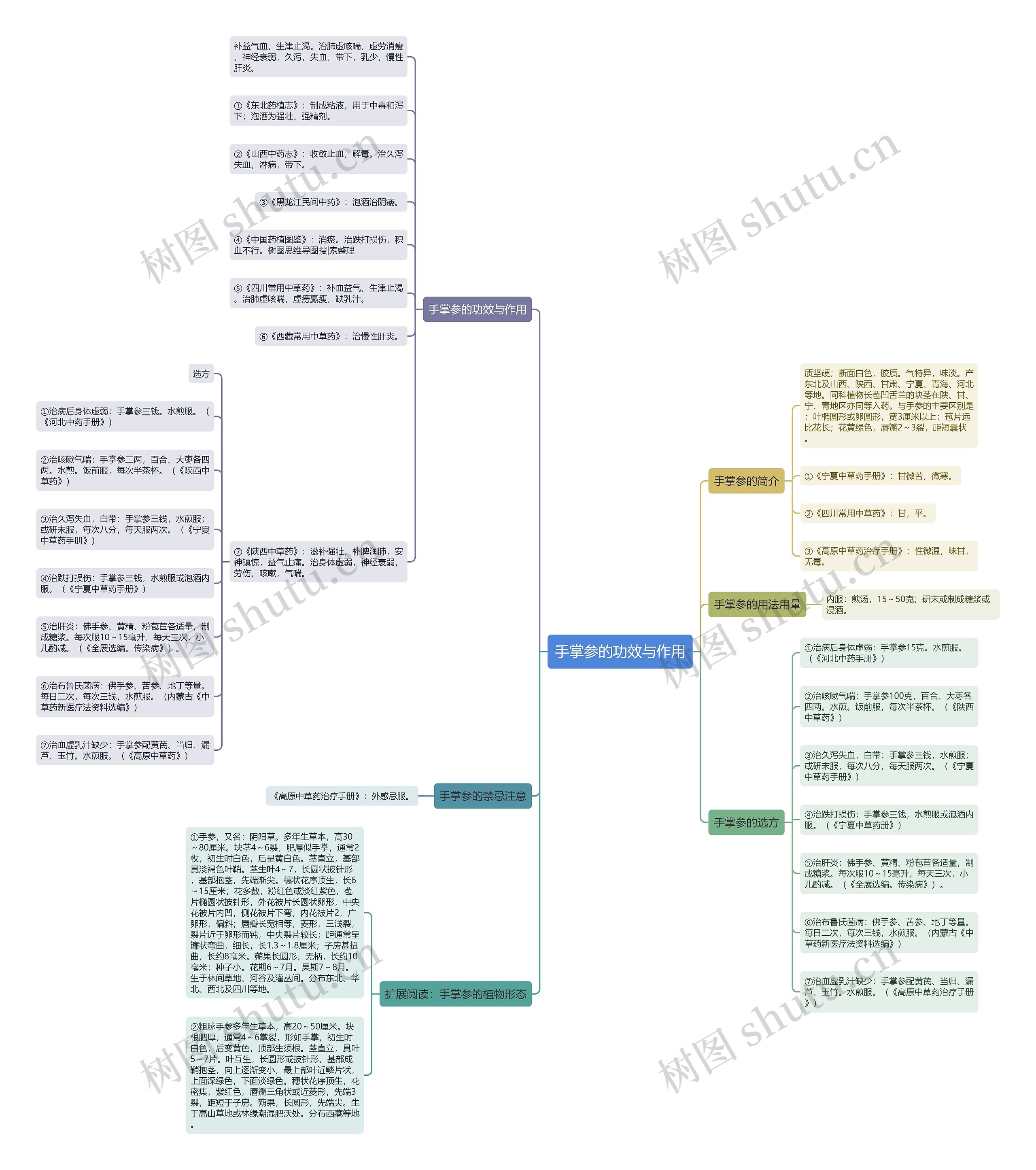 手掌参的功效与作用思维导图