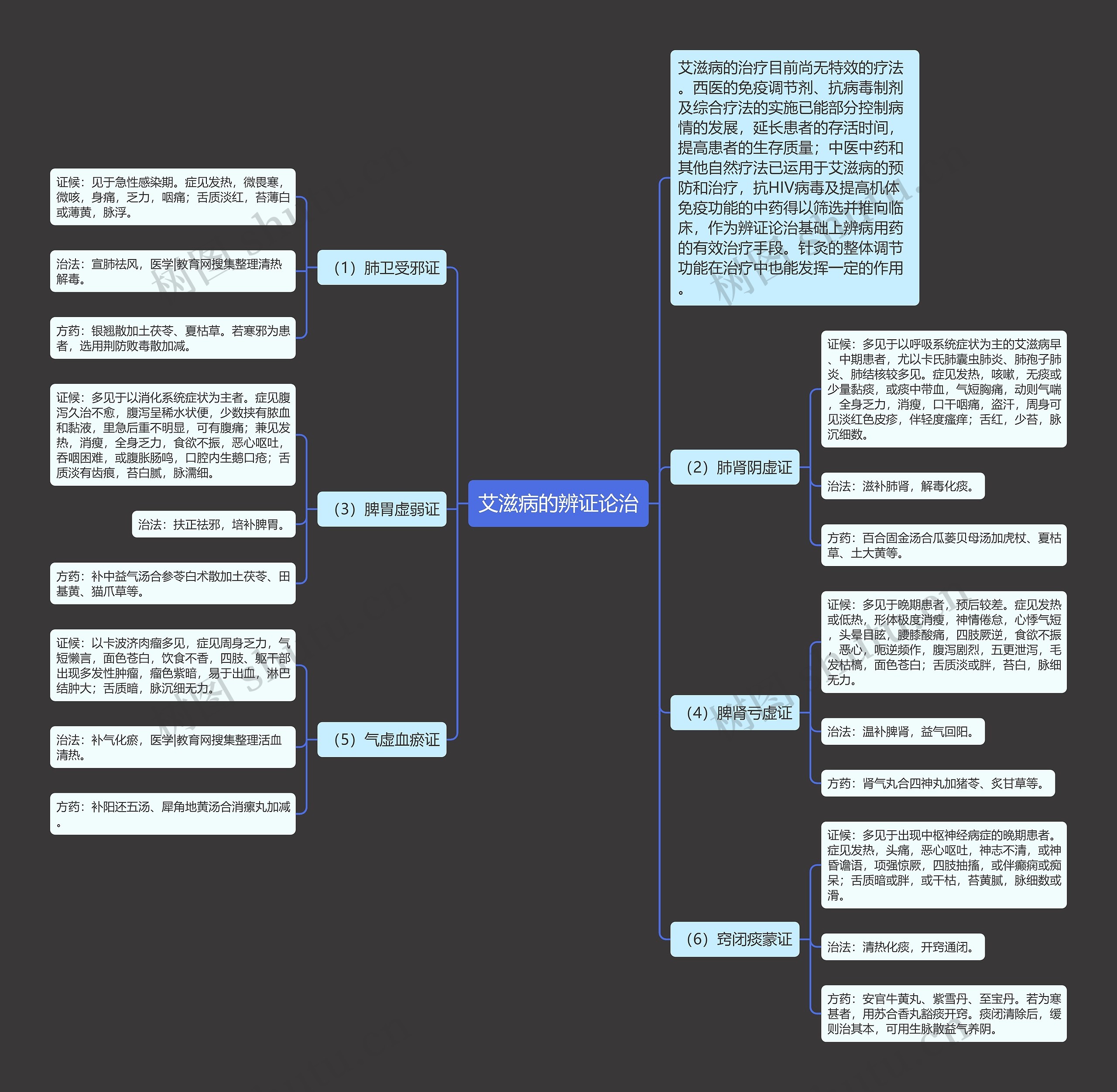 艾滋病的辨证论治思维导图