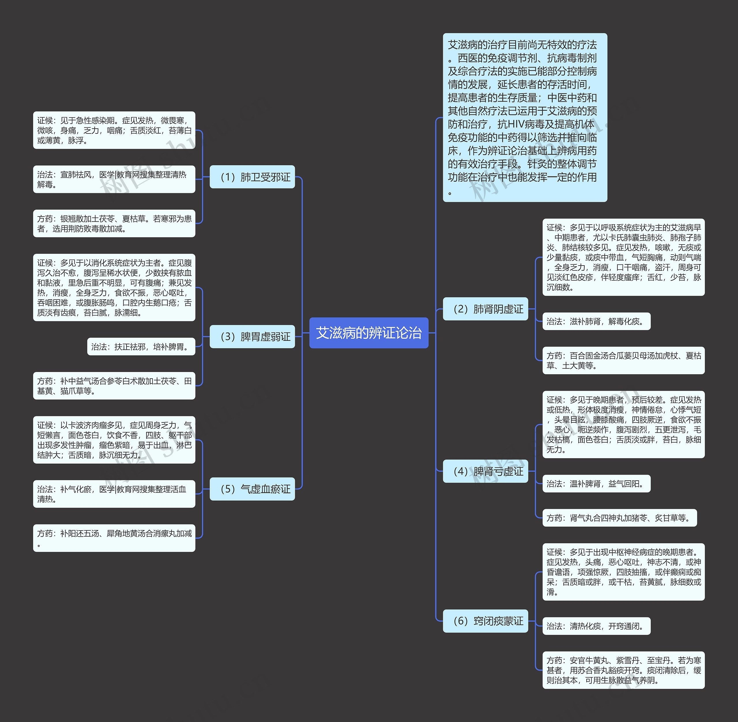 艾滋病的辨证论治 艾滋病的辨证论治