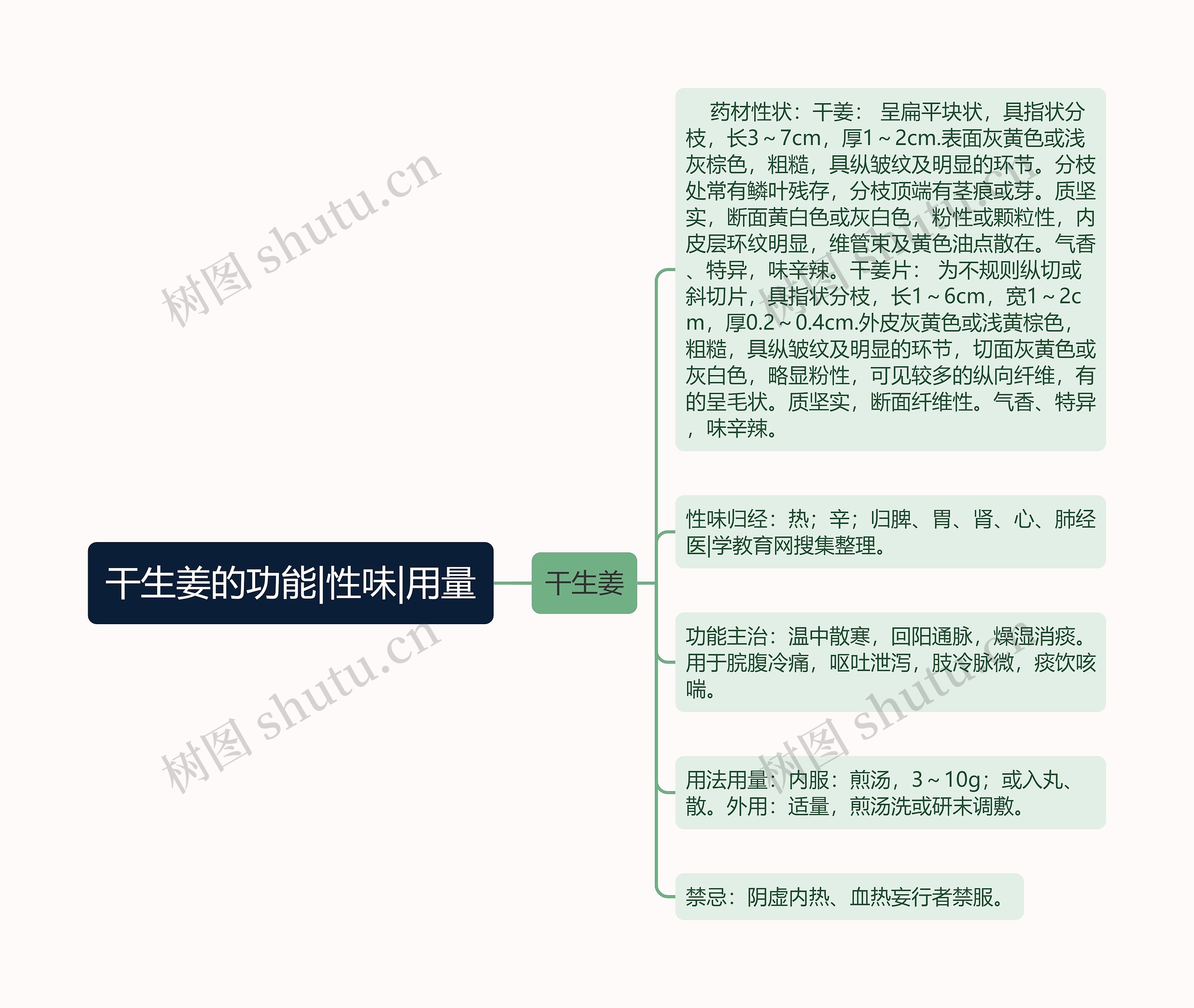 干生姜的功能|性味|用量思维导图