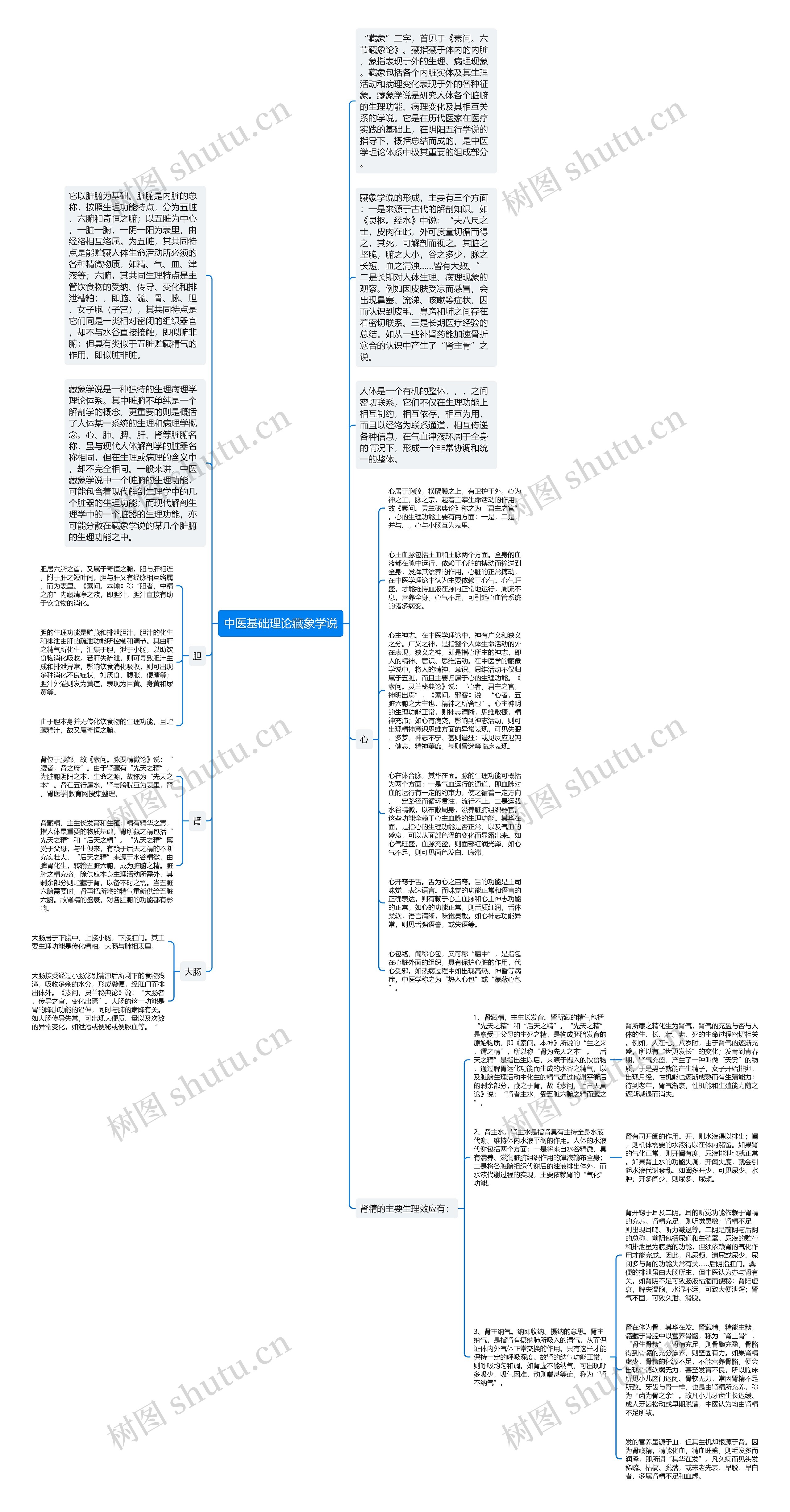 中医基础理论藏象学说思维导图