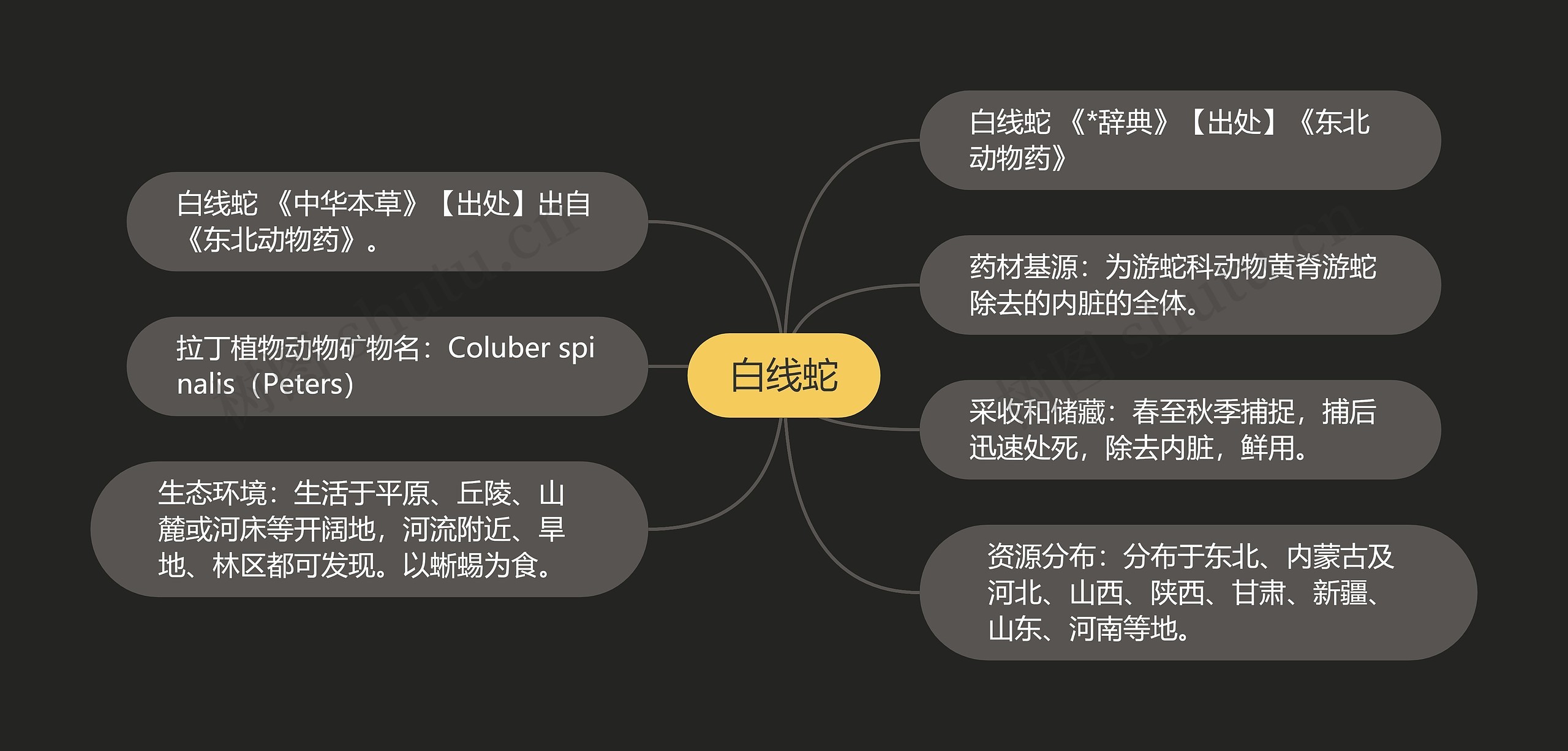 白线蛇思维导图