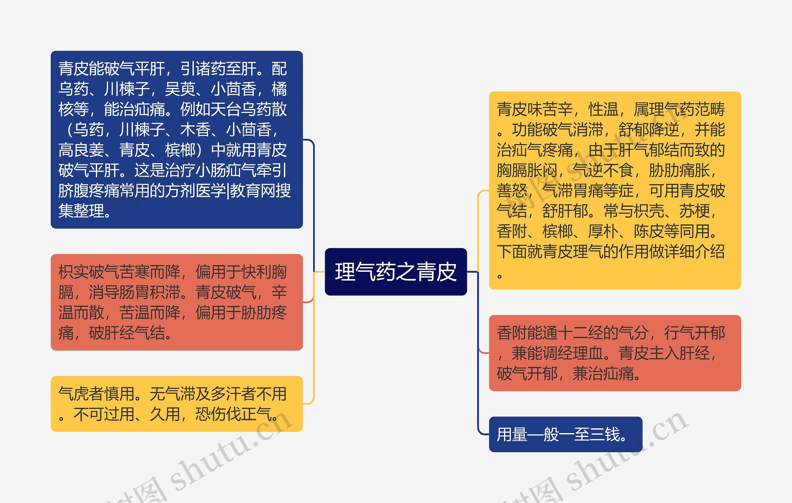 理气药之青皮