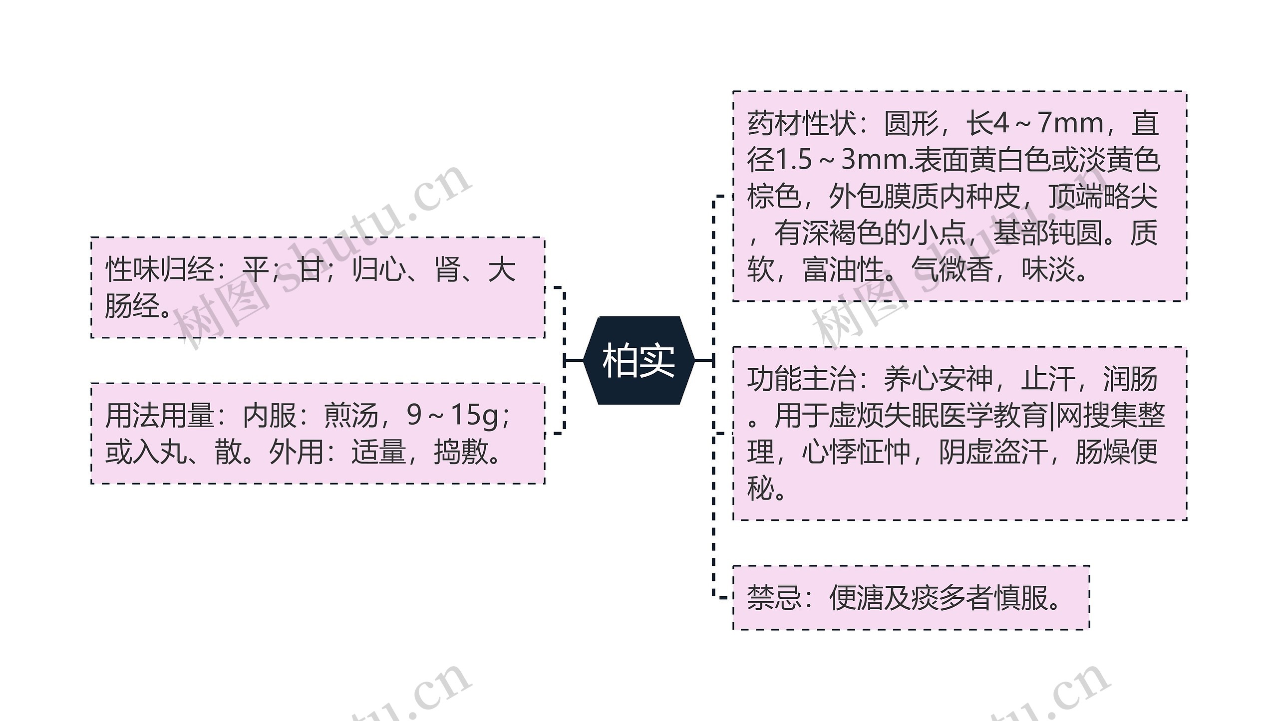 柏实思维导图