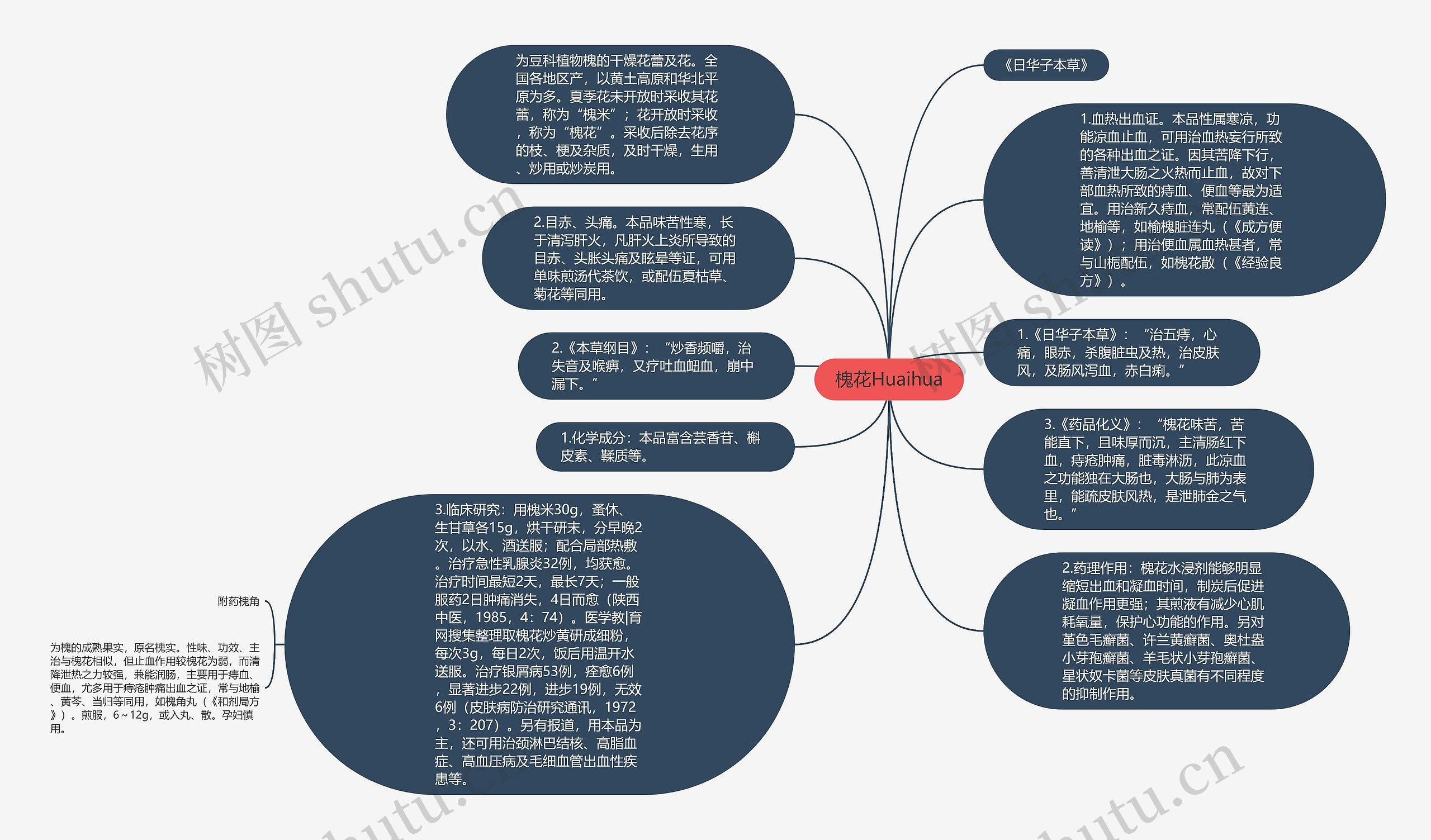 槐花Huaihua思维导图