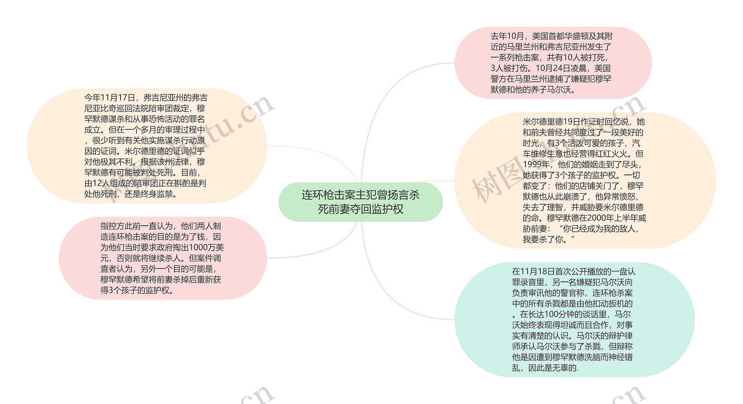 连环枪击案主犯曾扬言杀死前妻夺回监护权思维导图