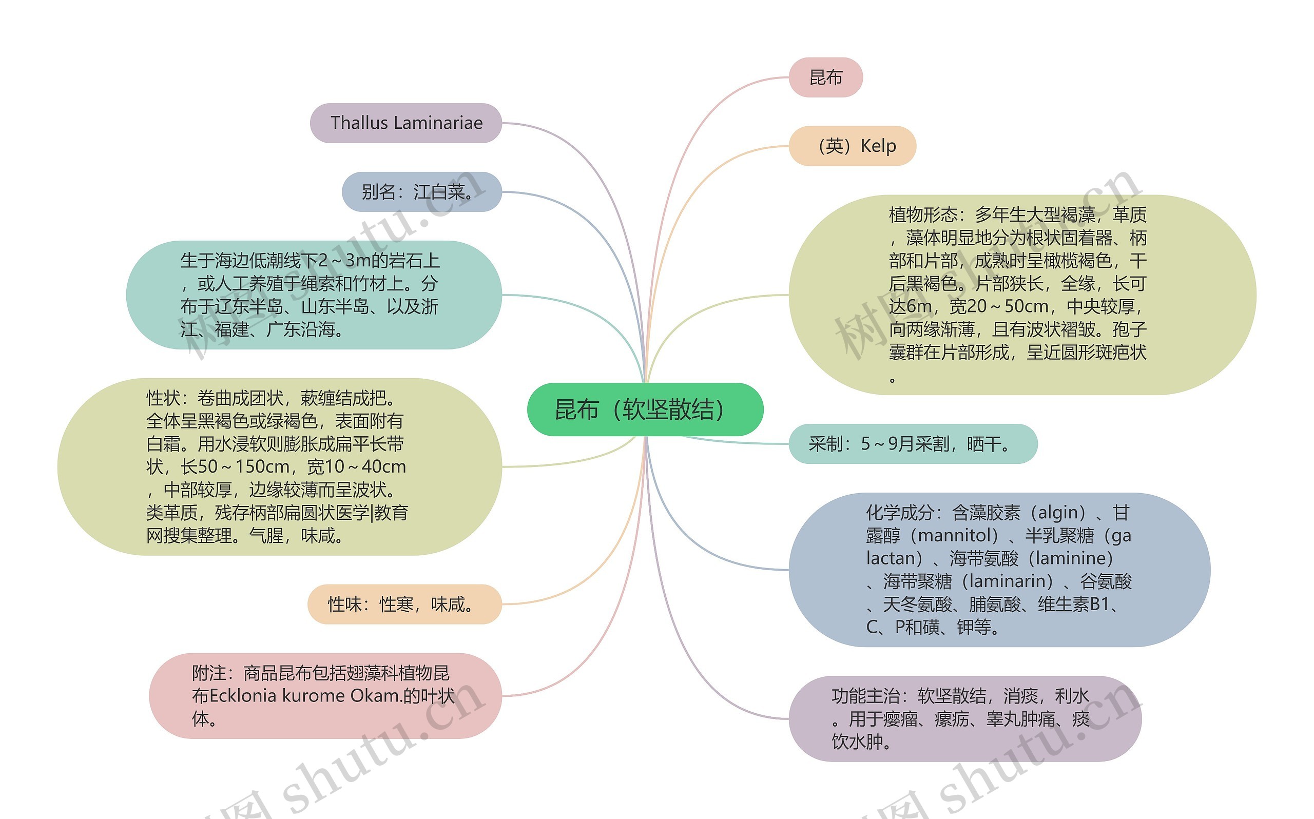 昆布（软坚散结）思维导图