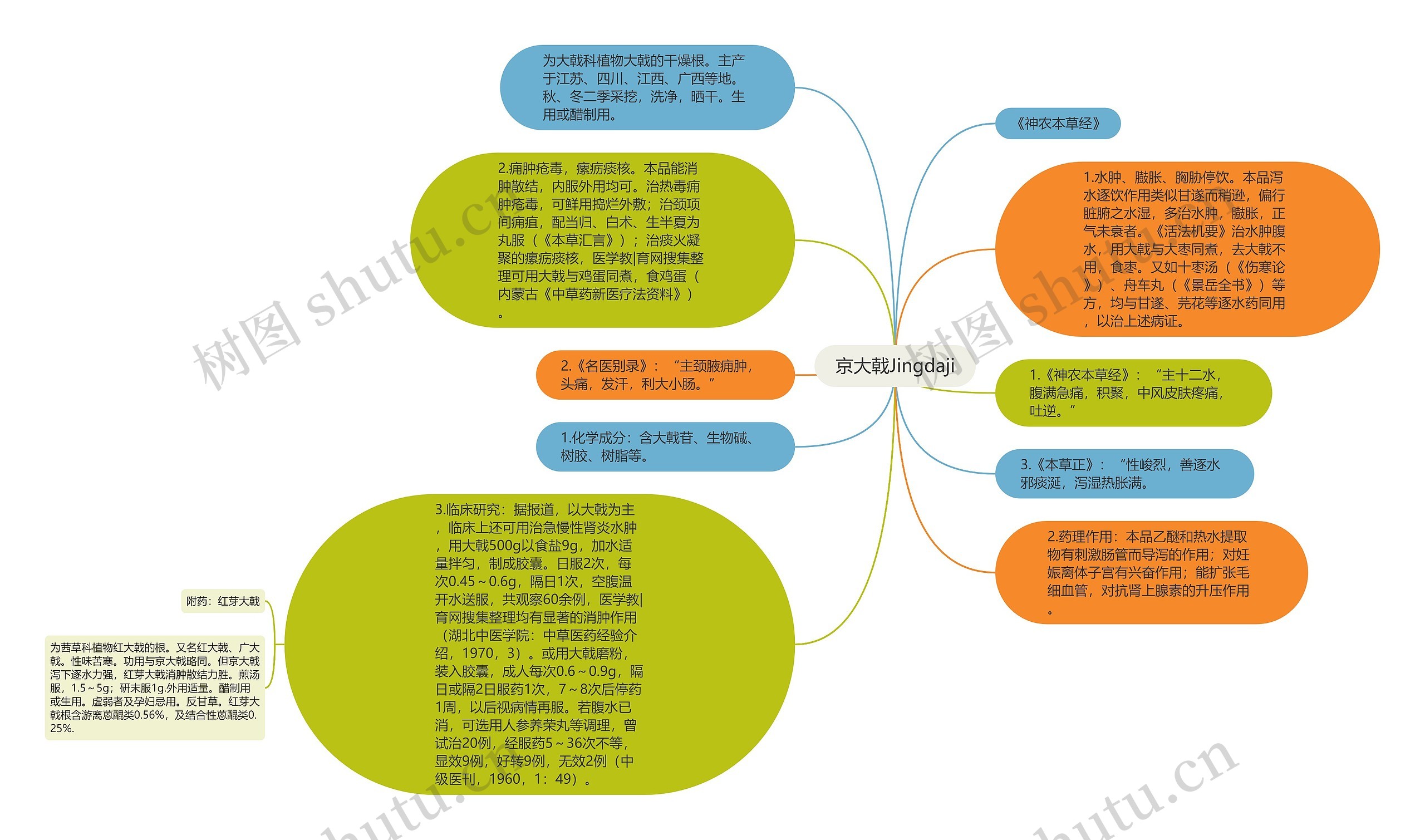 京大戟Jingdaji思维导图