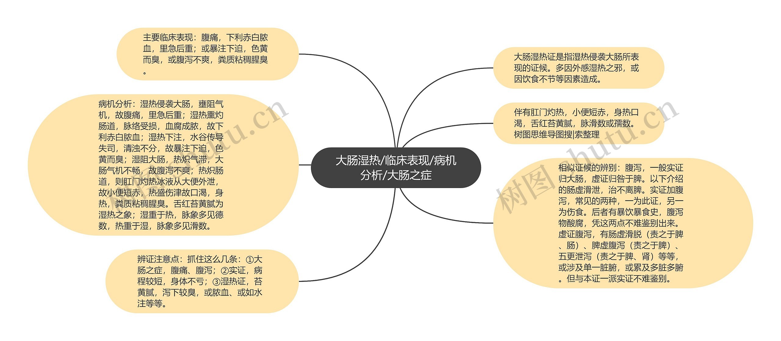 大肠湿热/临床表现/病机分析/大肠之症思维导图