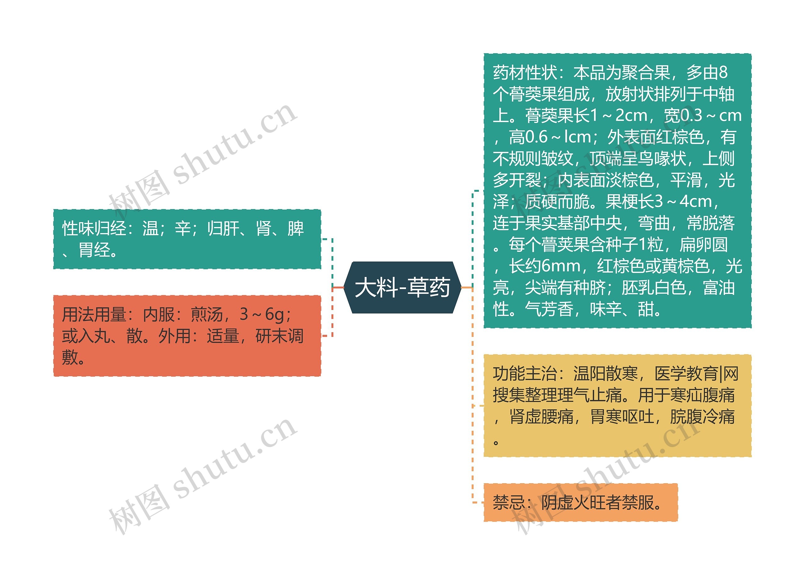 大料-草药思维导图