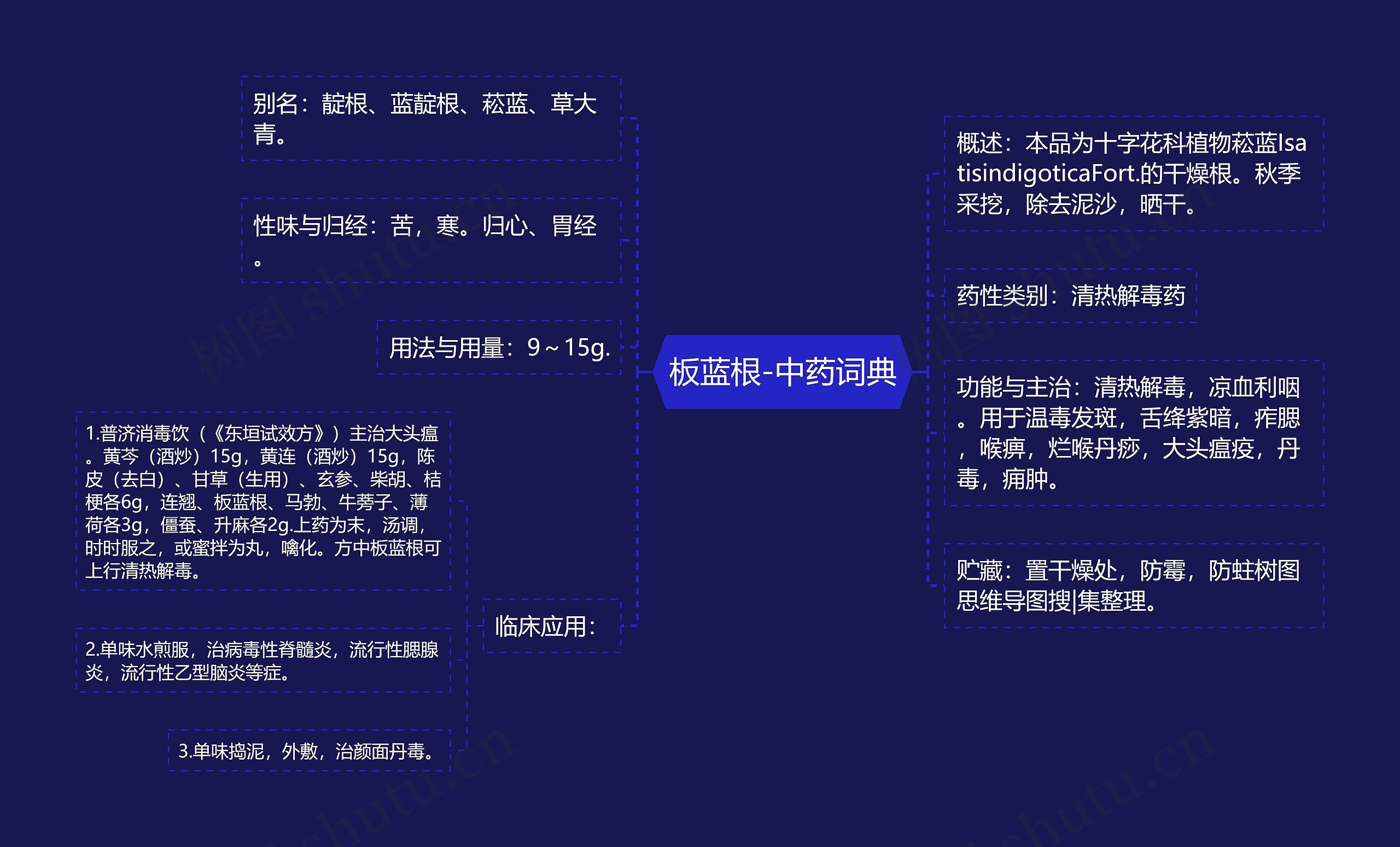 板蓝根-中药词典思维导图