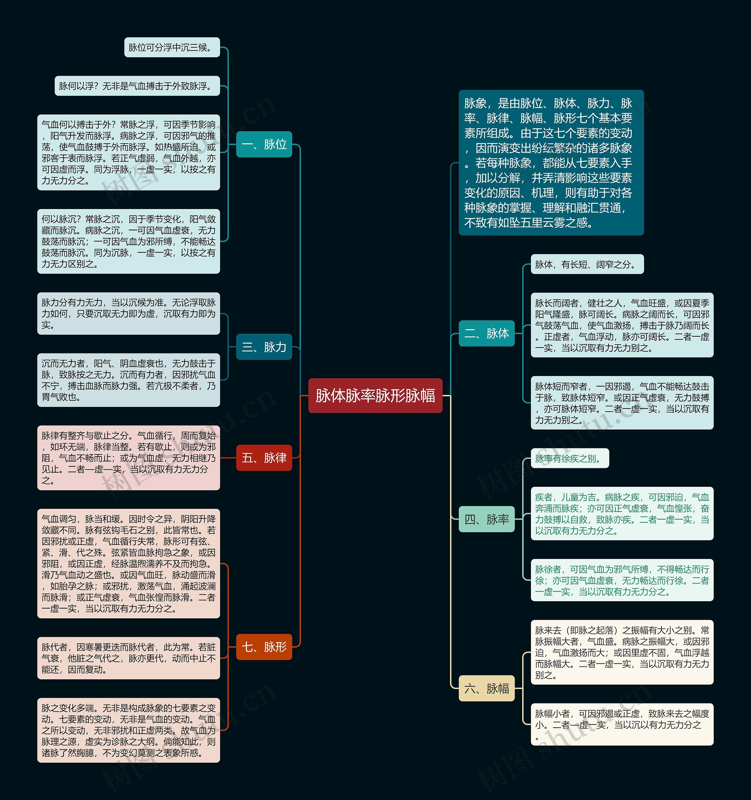 脉体脉率脉形脉幅思维导图