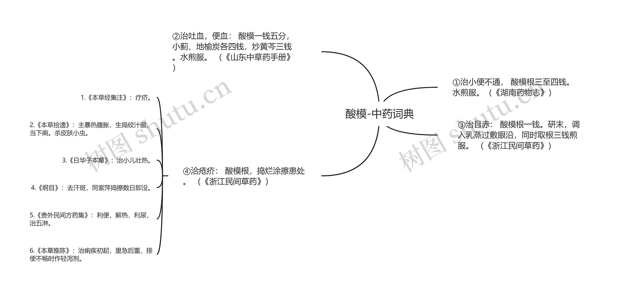 酸模-中药词典思维导图