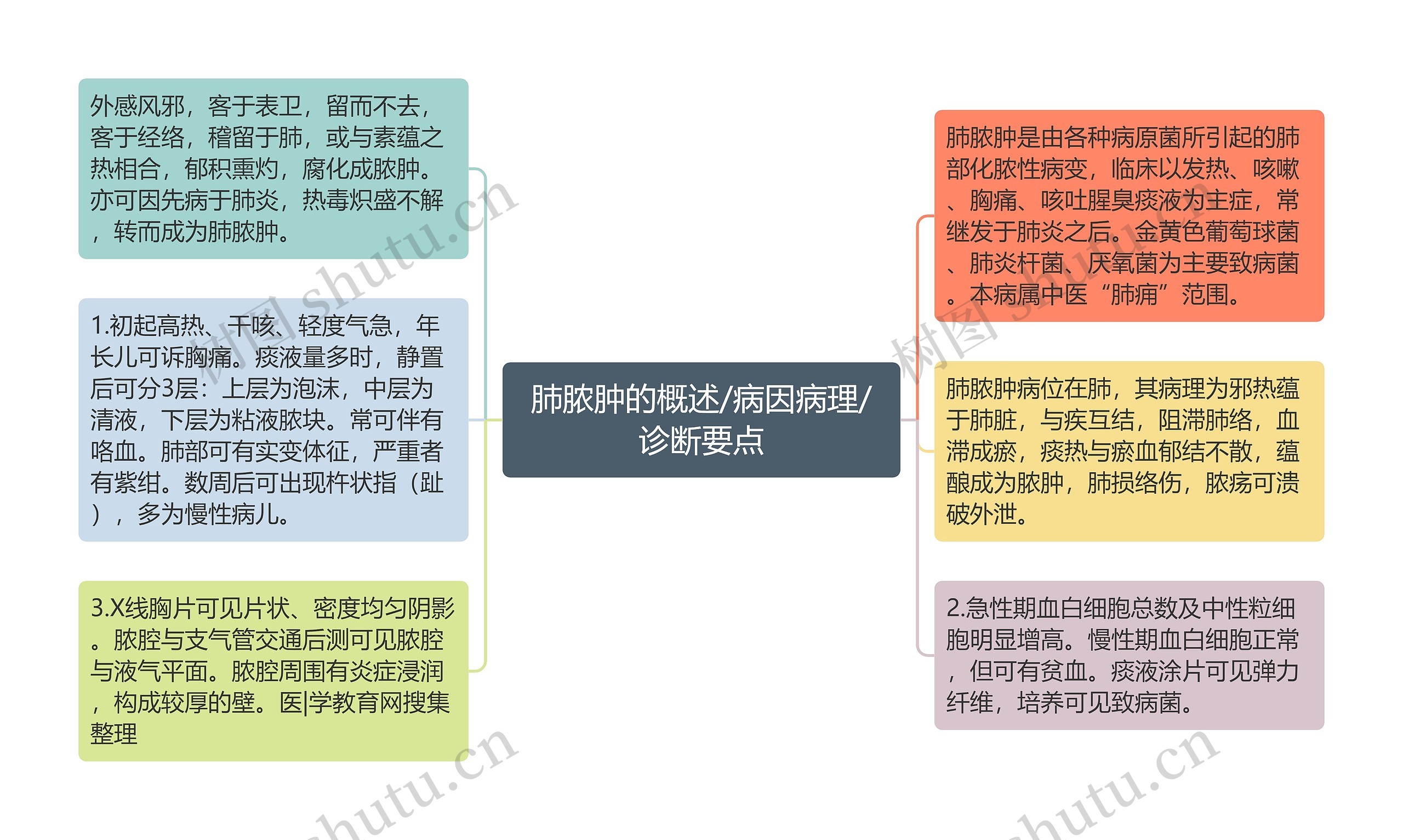 肺脓肿的概述/病因病理/诊断要点思维导图