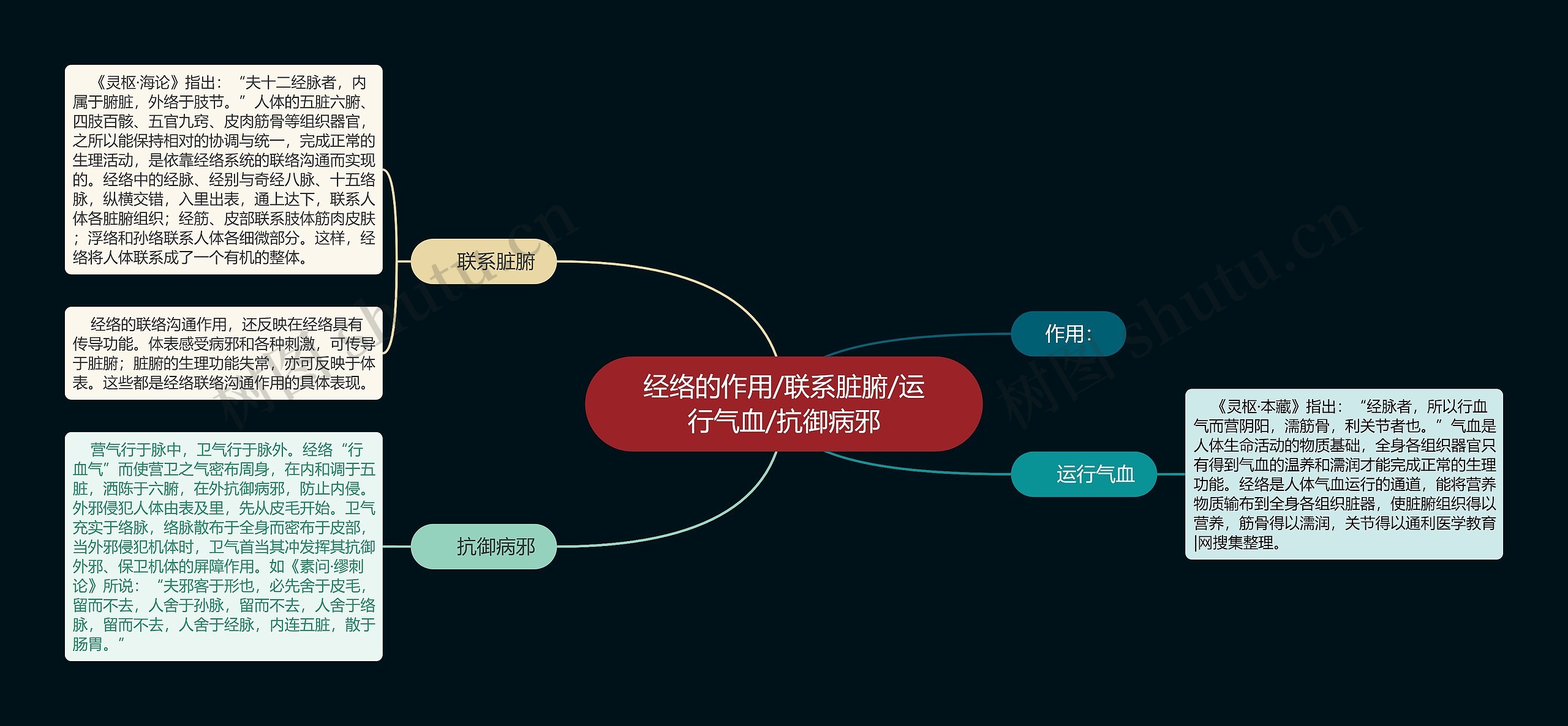 经络的作用/联系脏腑/运行气血/抗御病邪