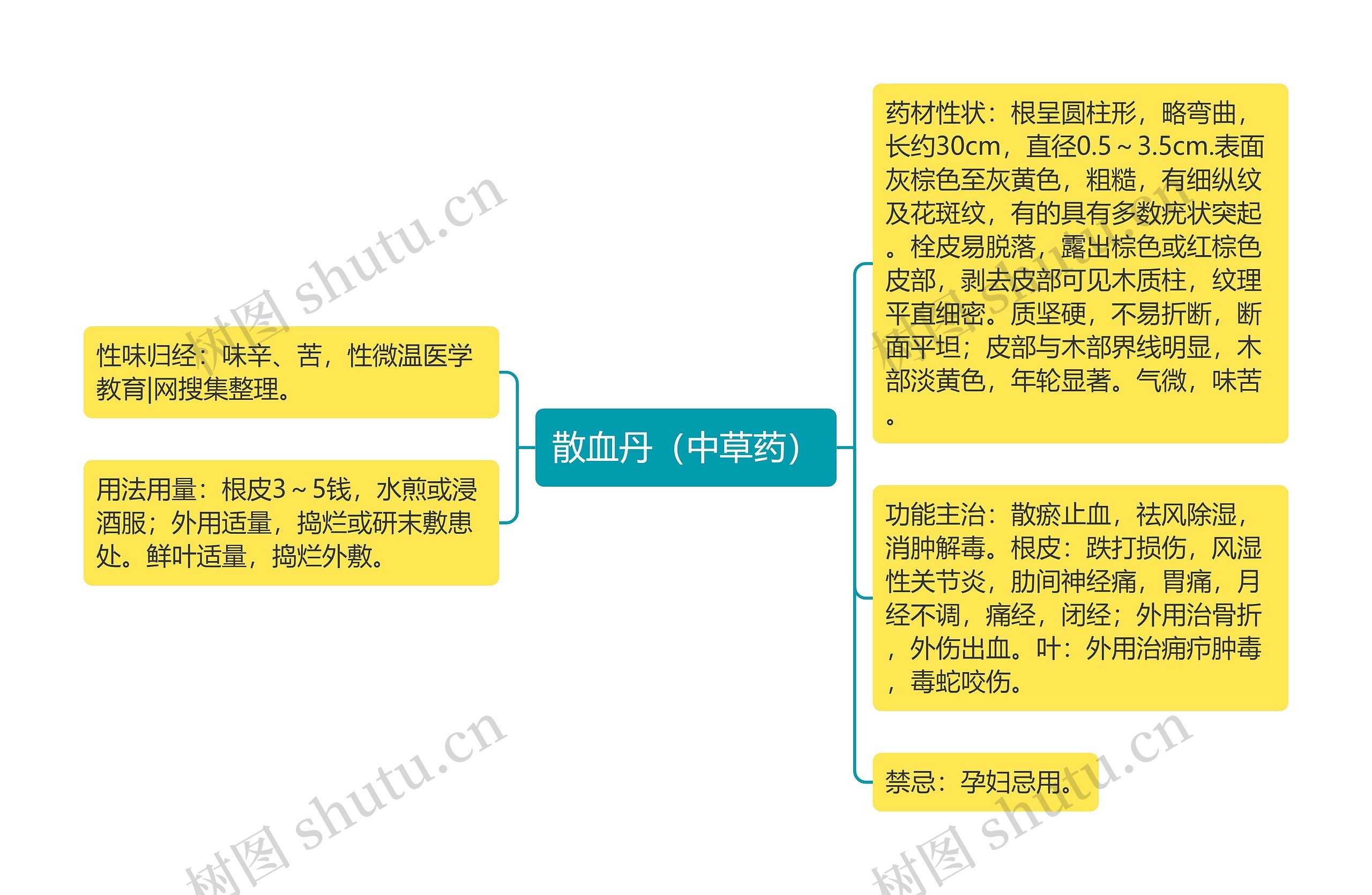 散血丹（中草药）思维导图