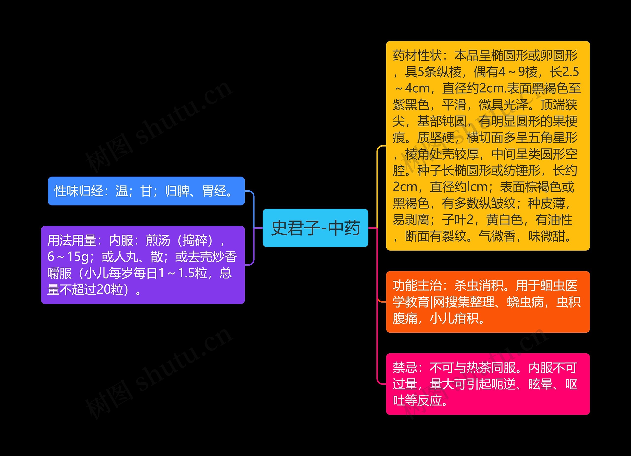 史君子-中药思维导图
