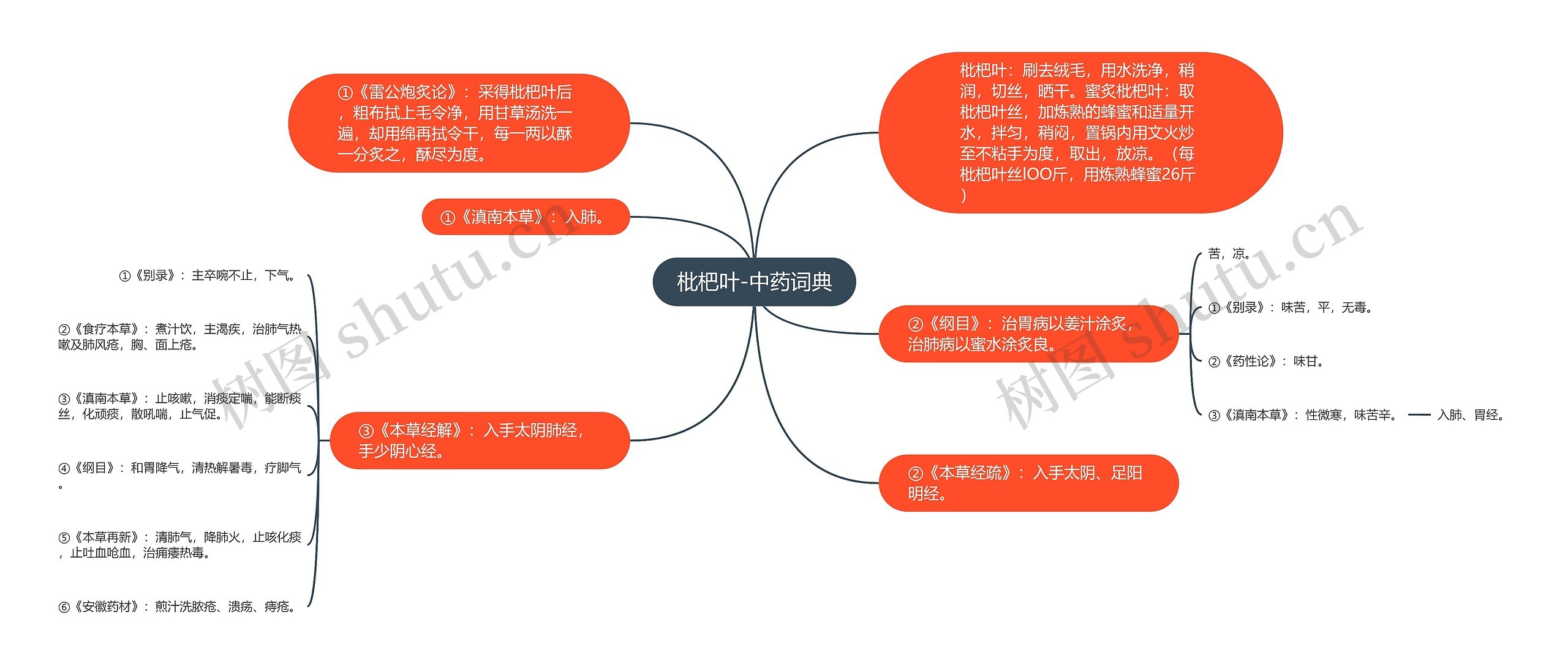 枇杷叶-中药词典思维导图