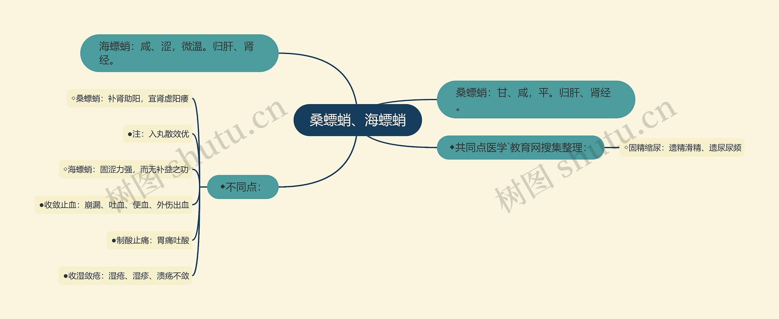 桑螵蛸、海螵蛸思维导图