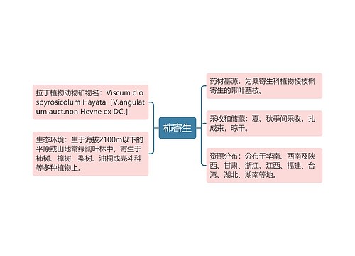 柿寄生