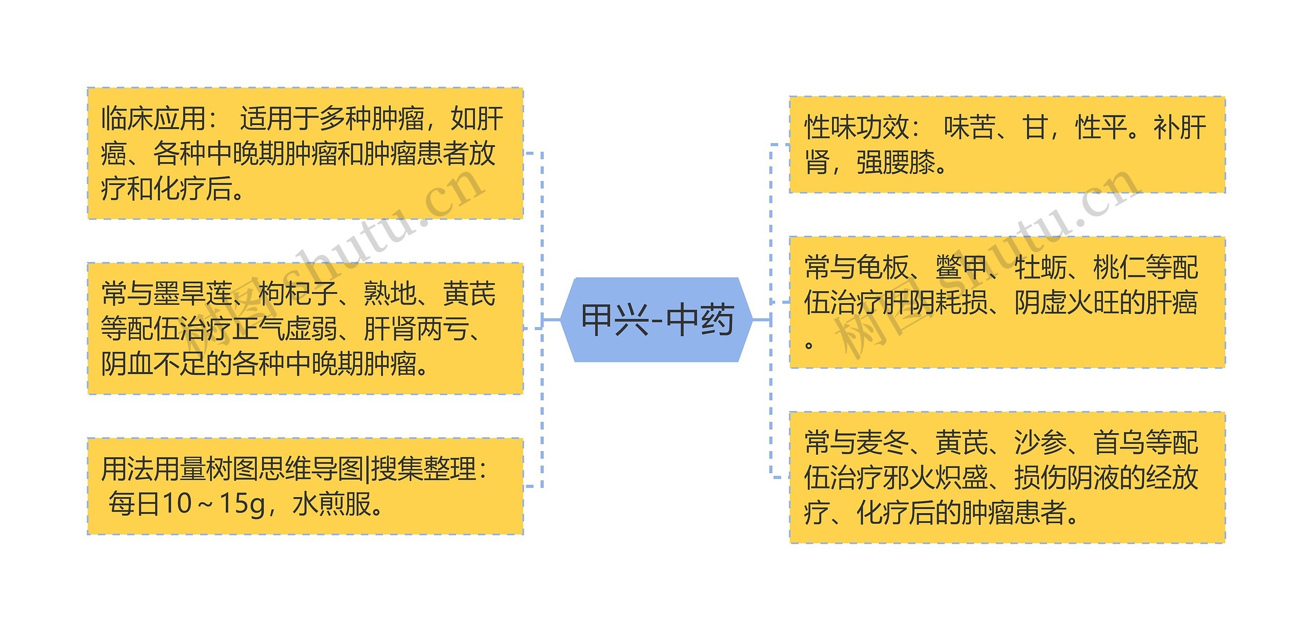 甲兴-中药思维导图