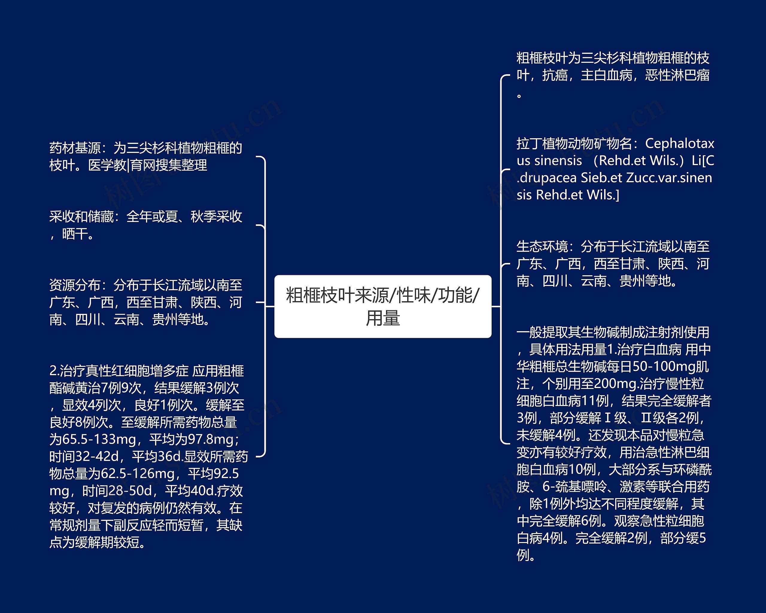 粗榧枝叶来源/性味/功能/用量思维导图