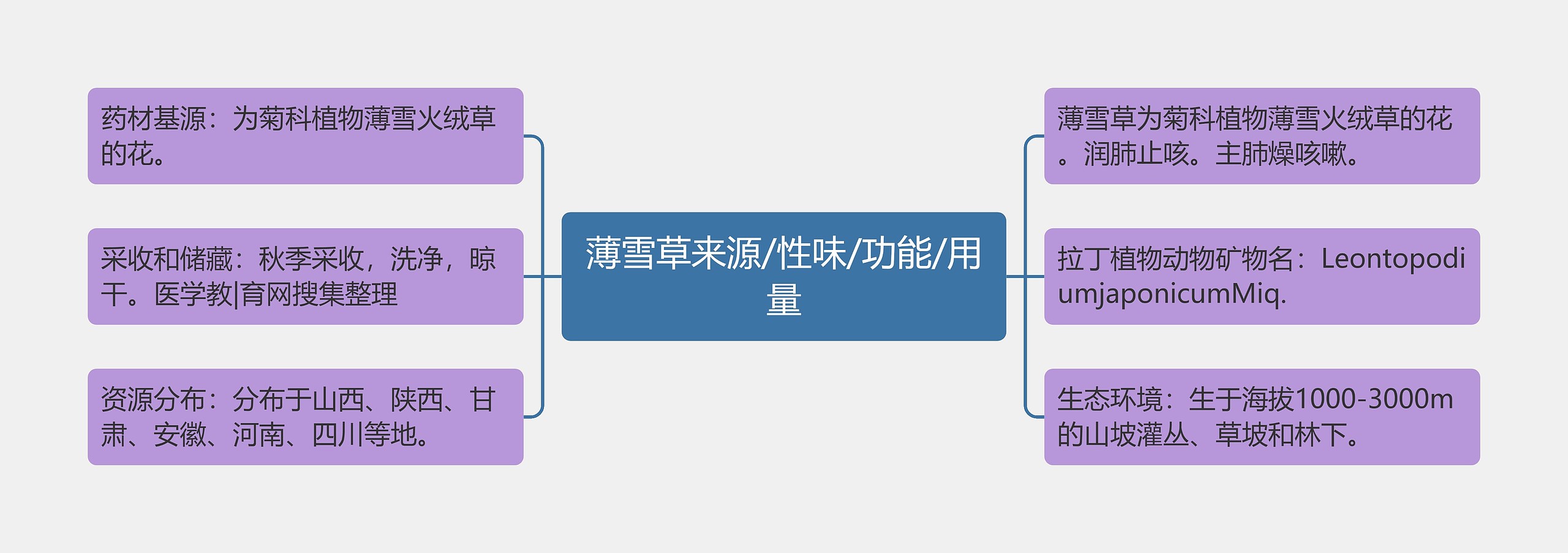 薄雪草来源/性味/功能/用量