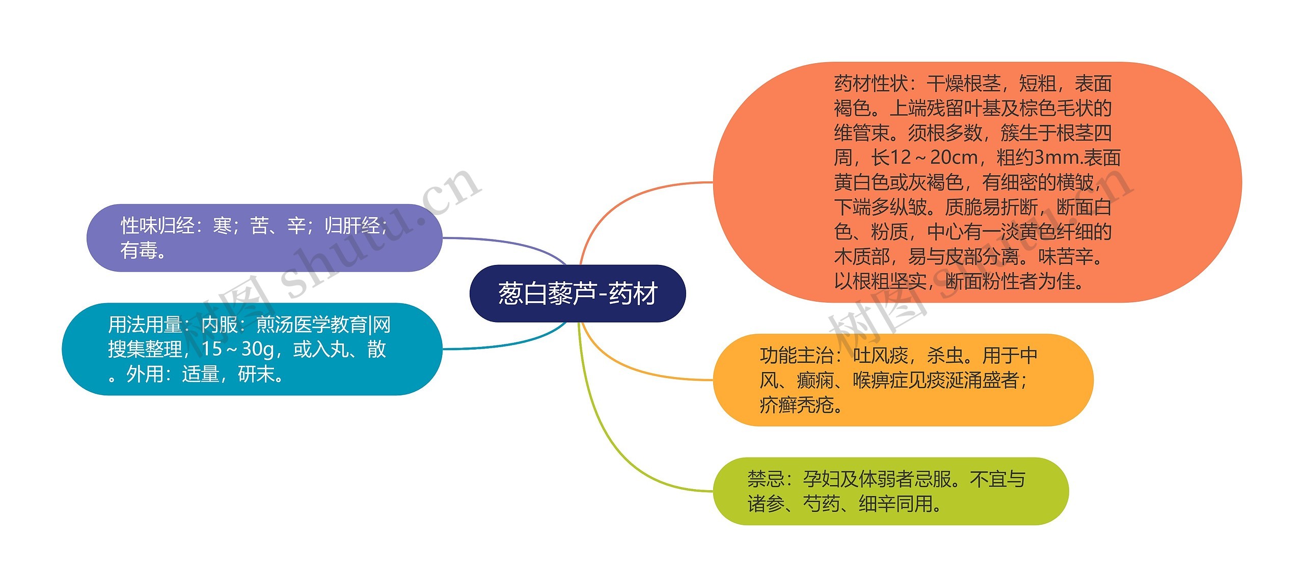 葱白藜芦-药材思维导图