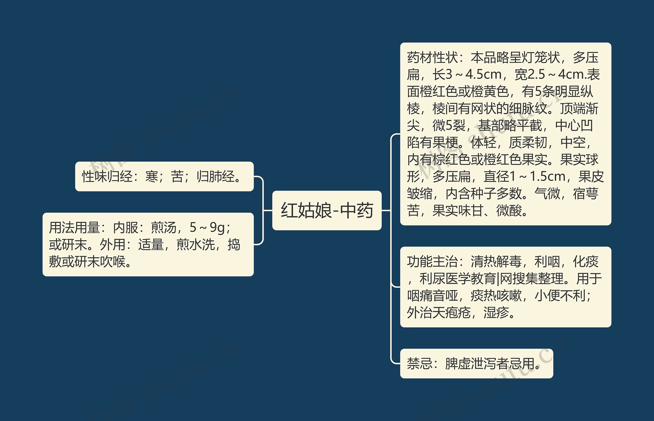 红姑娘-中药思维导图