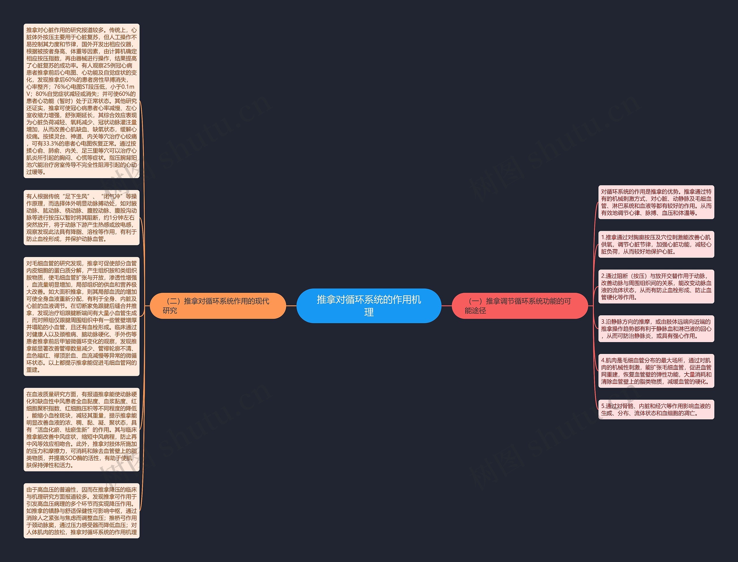 推拿对循环系统的作用机理思维导图